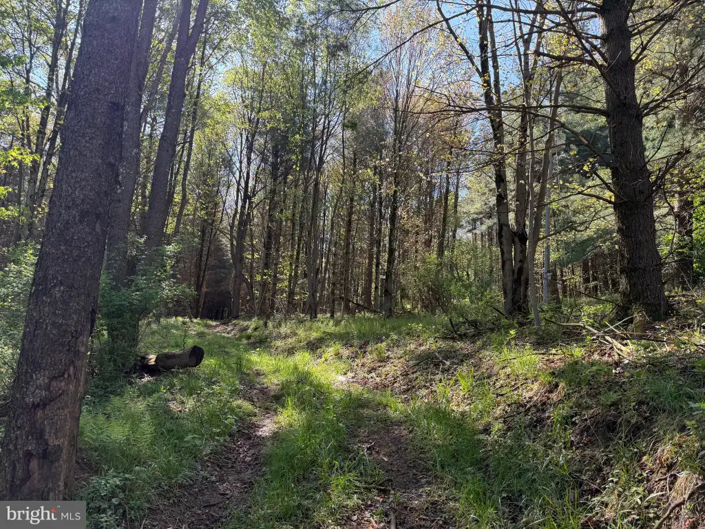 Additional image 46 of 2254 Garrett Road, Oakland, MD 21550