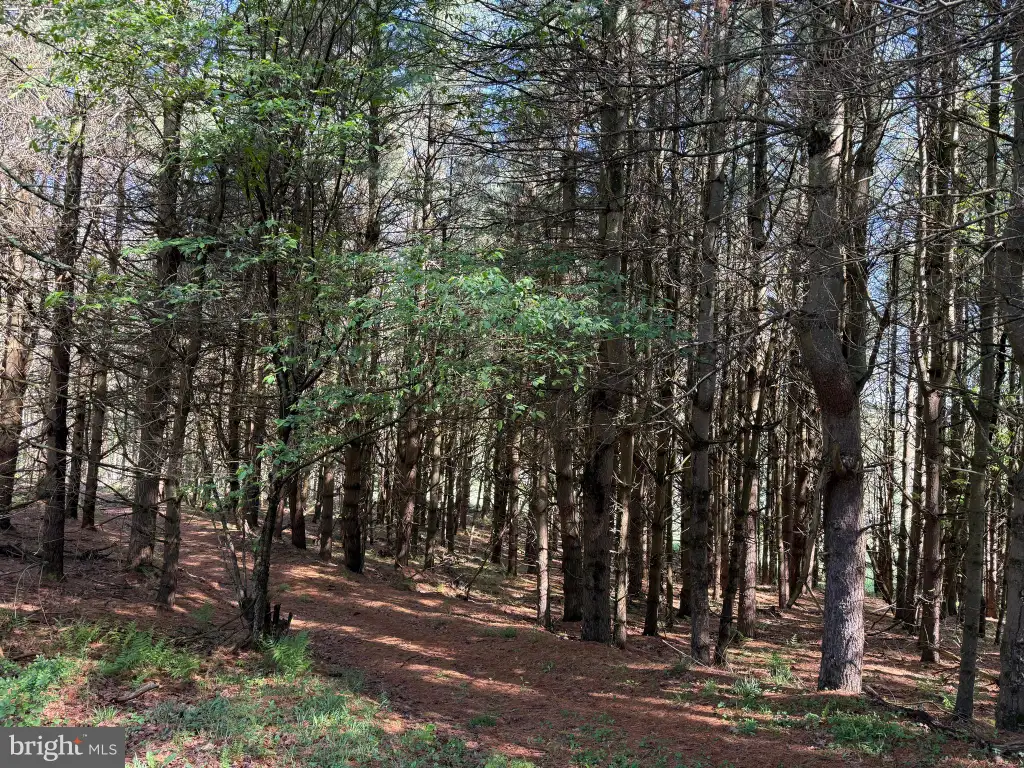 Additional image 47 of 2254 Garrett Road, Oakland, MD 21550