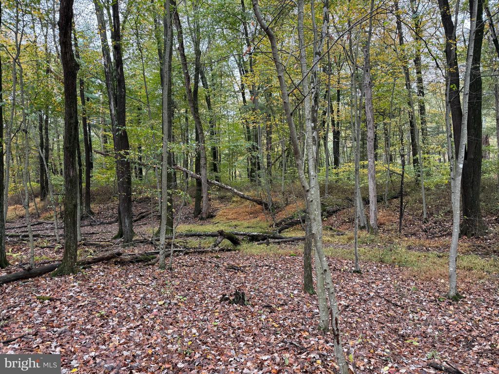 Photo of E Locust St, MOUNT HOLLY SPRINGS, PA 17065 (MLS # PACB2047480)