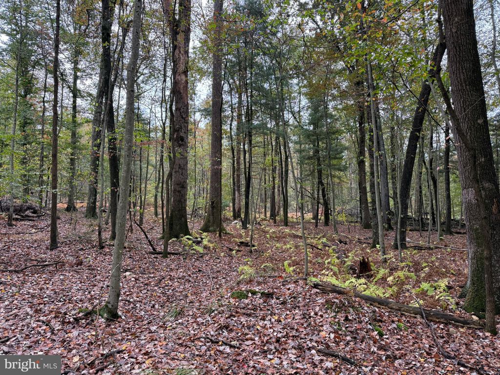 Photo of E Locust St, MOUNT HOLLY SPRINGS, PA 17065 (MLS # PACB2047480)