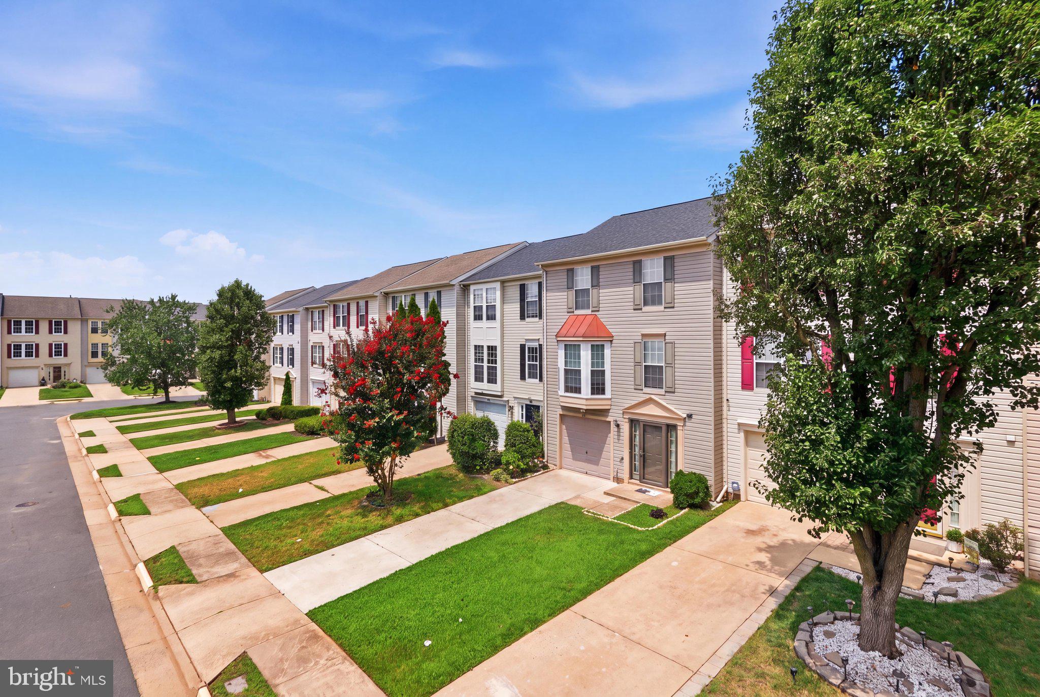 9118 VERBENA COURT