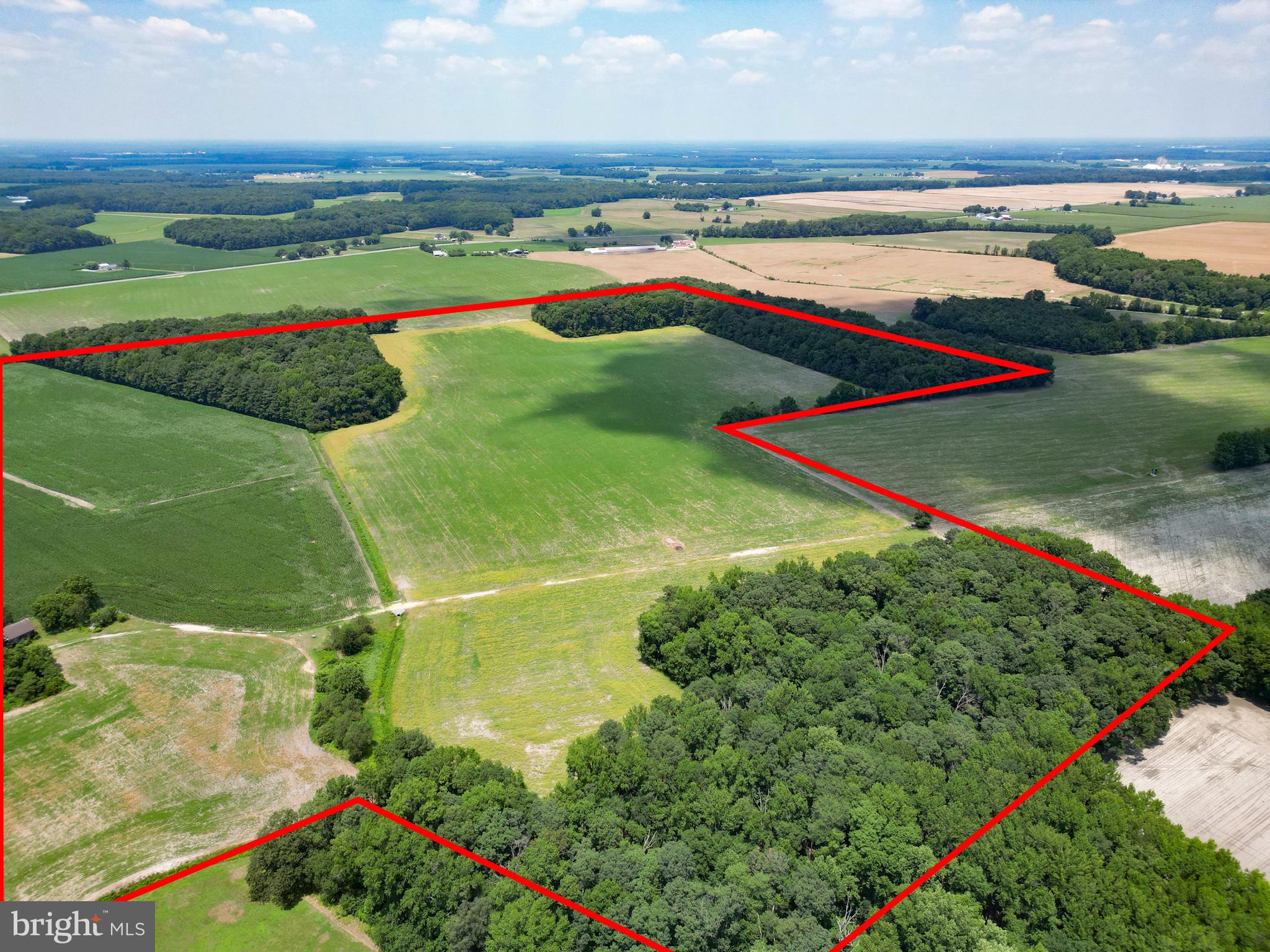 19973 WHITE ELM ROAD