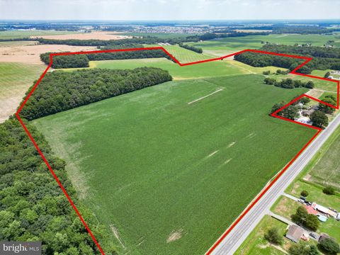 19973 WHITE ELM ROAD BRIDGEVILLE DE 19933