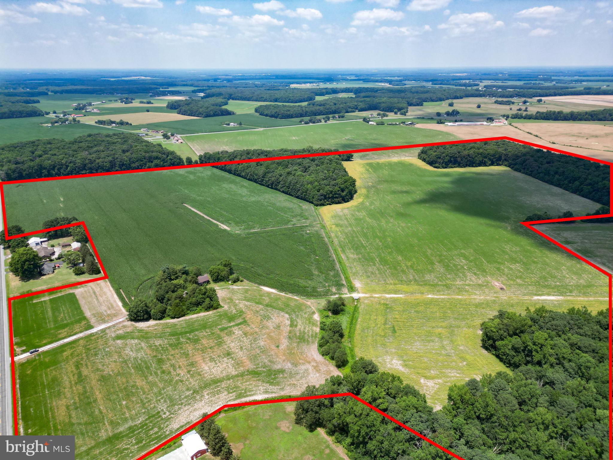 19973 WHITE ELM ROAD