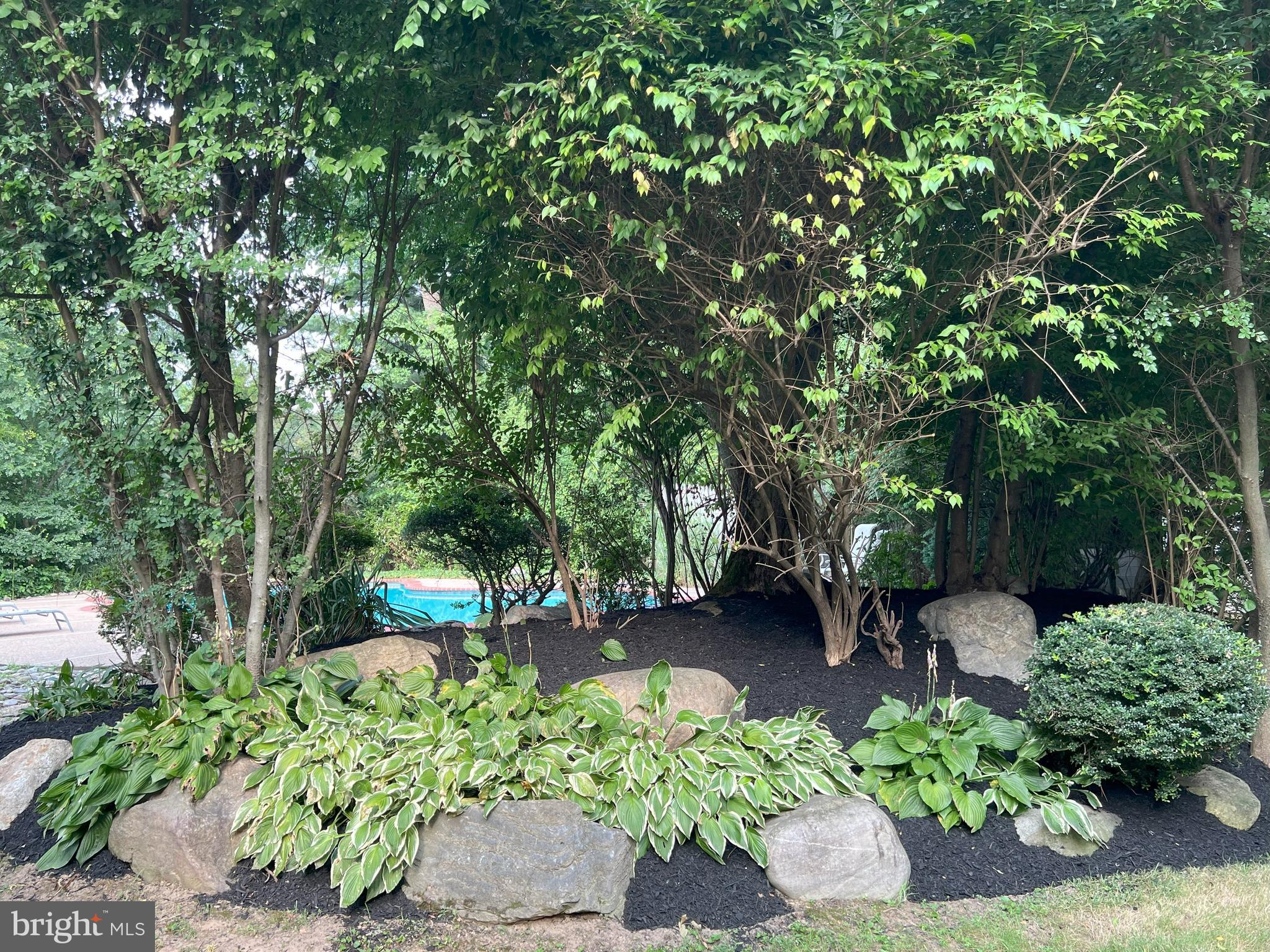 AMBLER - Residential