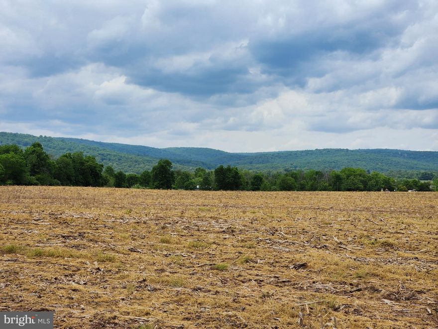 Absolutely gorgeous property! In CREP Program which allows for many uses including equestrian, livestock, grapes, grasses and more. House plus Tenant House allowed - 2 approved conventional perks, one for a 4 Bedroom home, one for a 5 bedroom home. There is one well to serve one house, 245' deep/20 GPM. 12 Acre are unrestricted. Stream on property, mostly tillable. Please schedule a tour of this beautiful property.