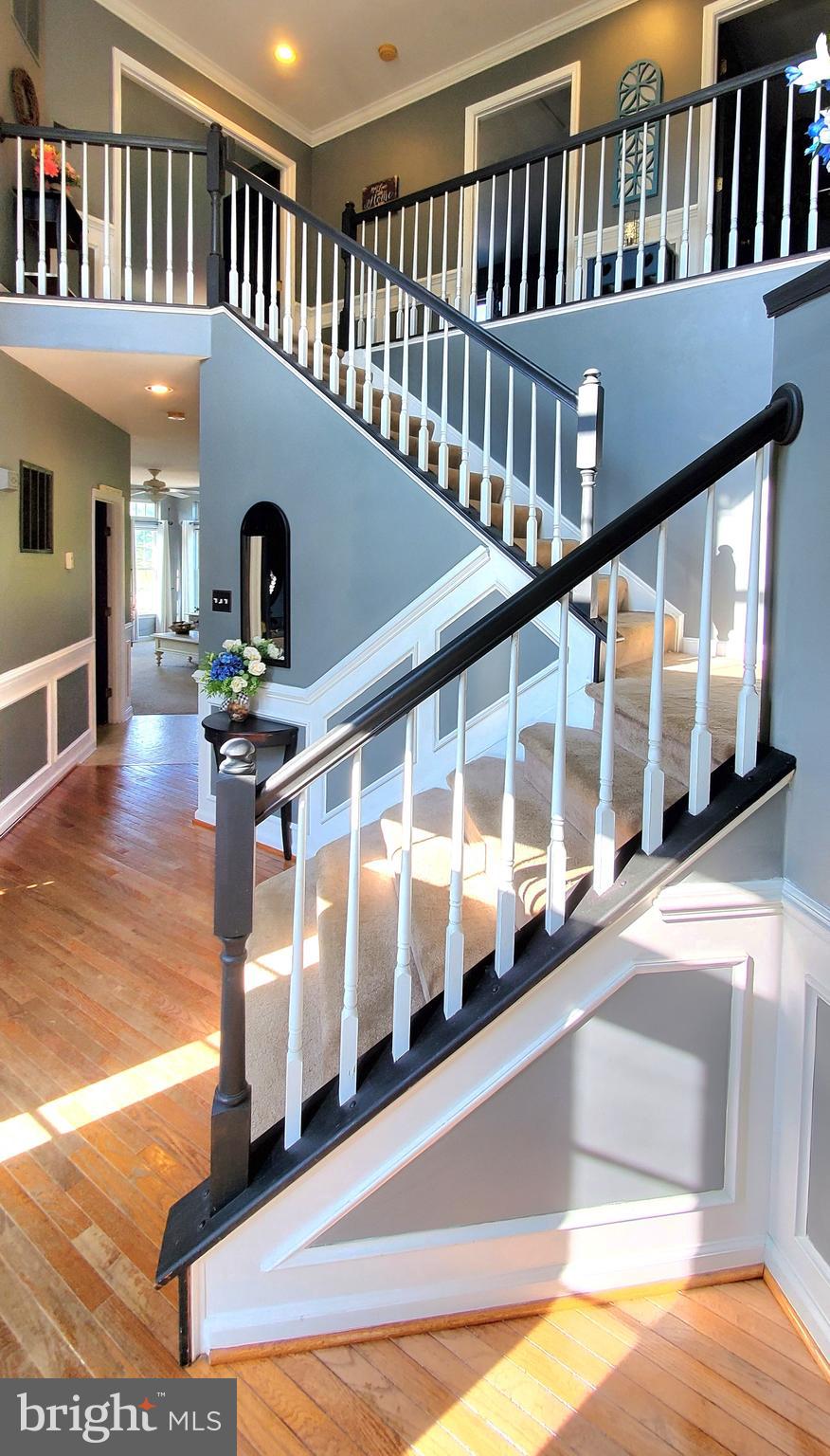 PELHAM MANOR - Residential