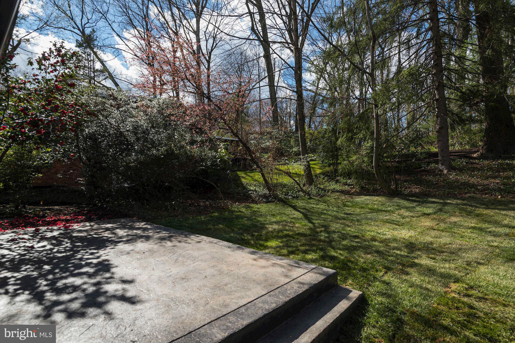 HOLMES RUN ACRES - Residential