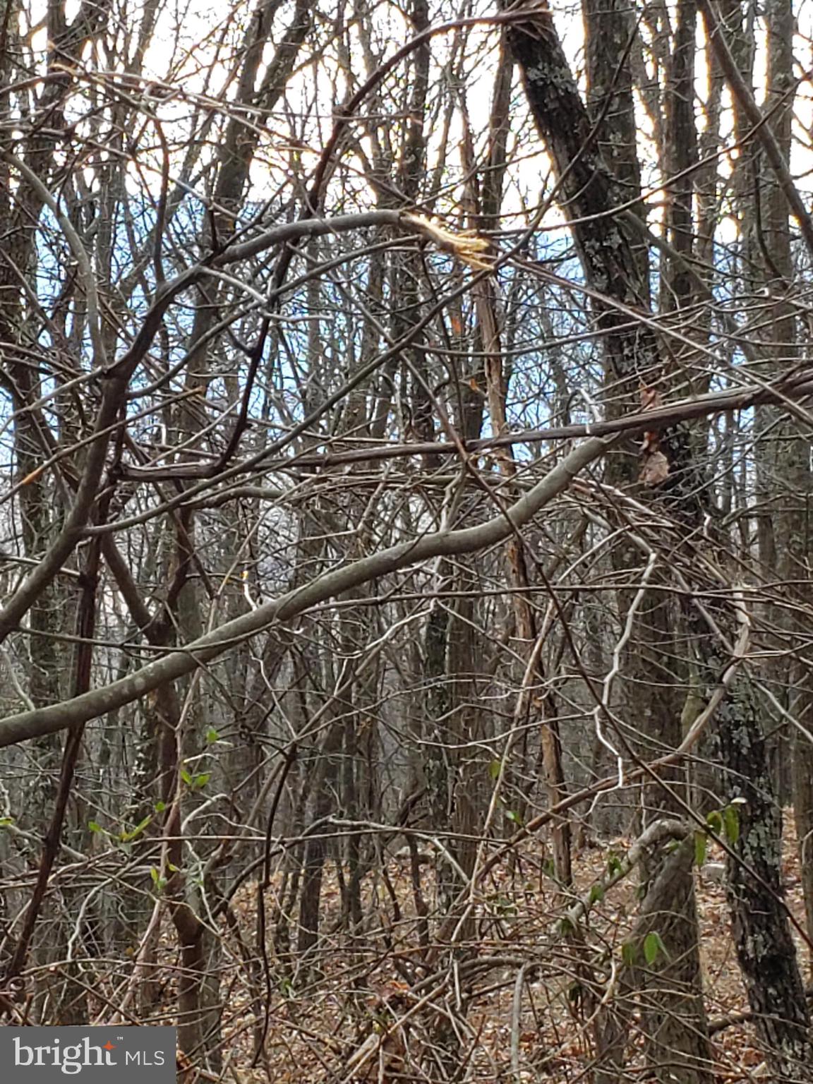 VALLEY HIGH TIMBER FARMS - Land