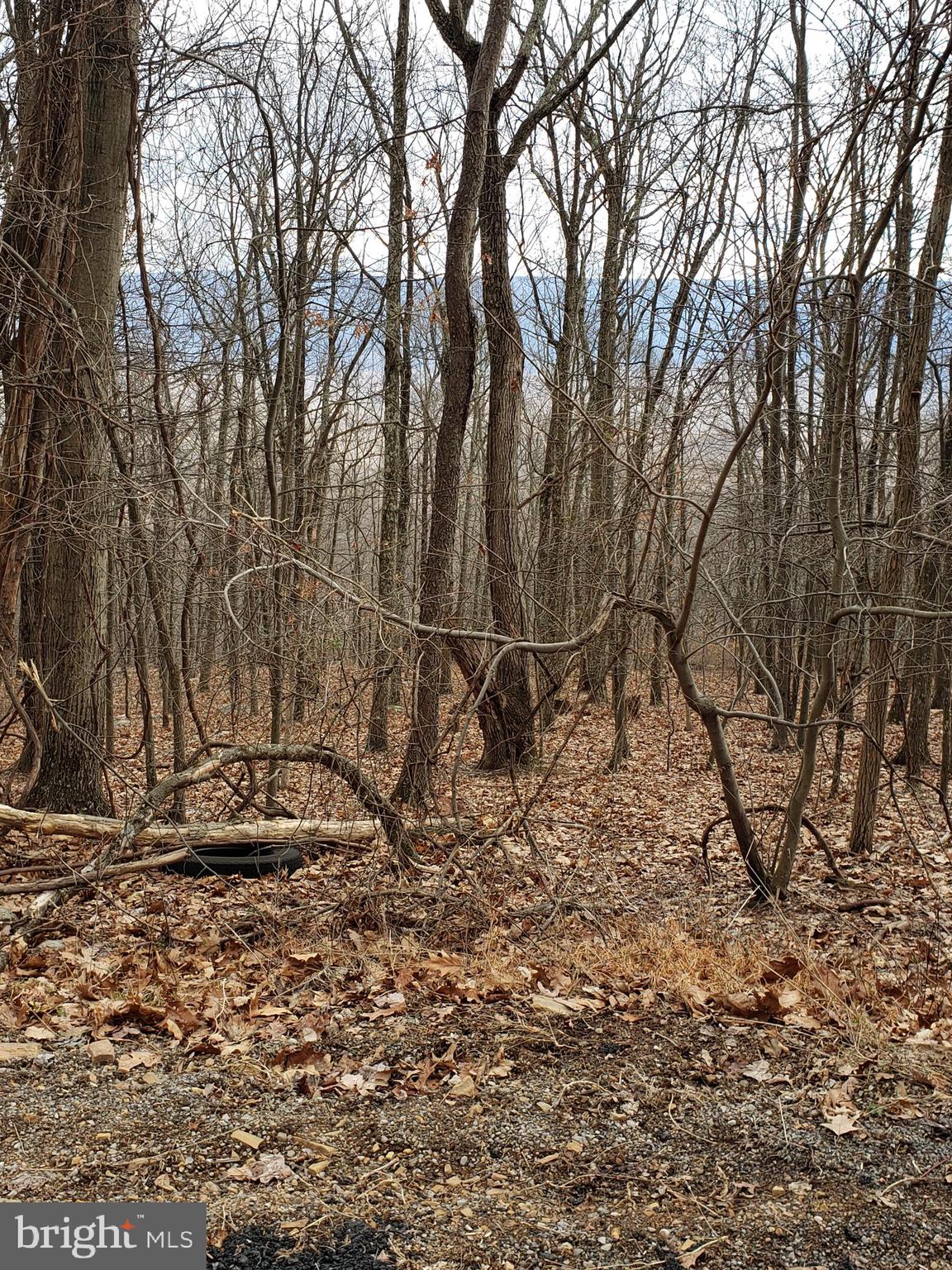 VALLEY HIGH TIMBER FARMS - Land