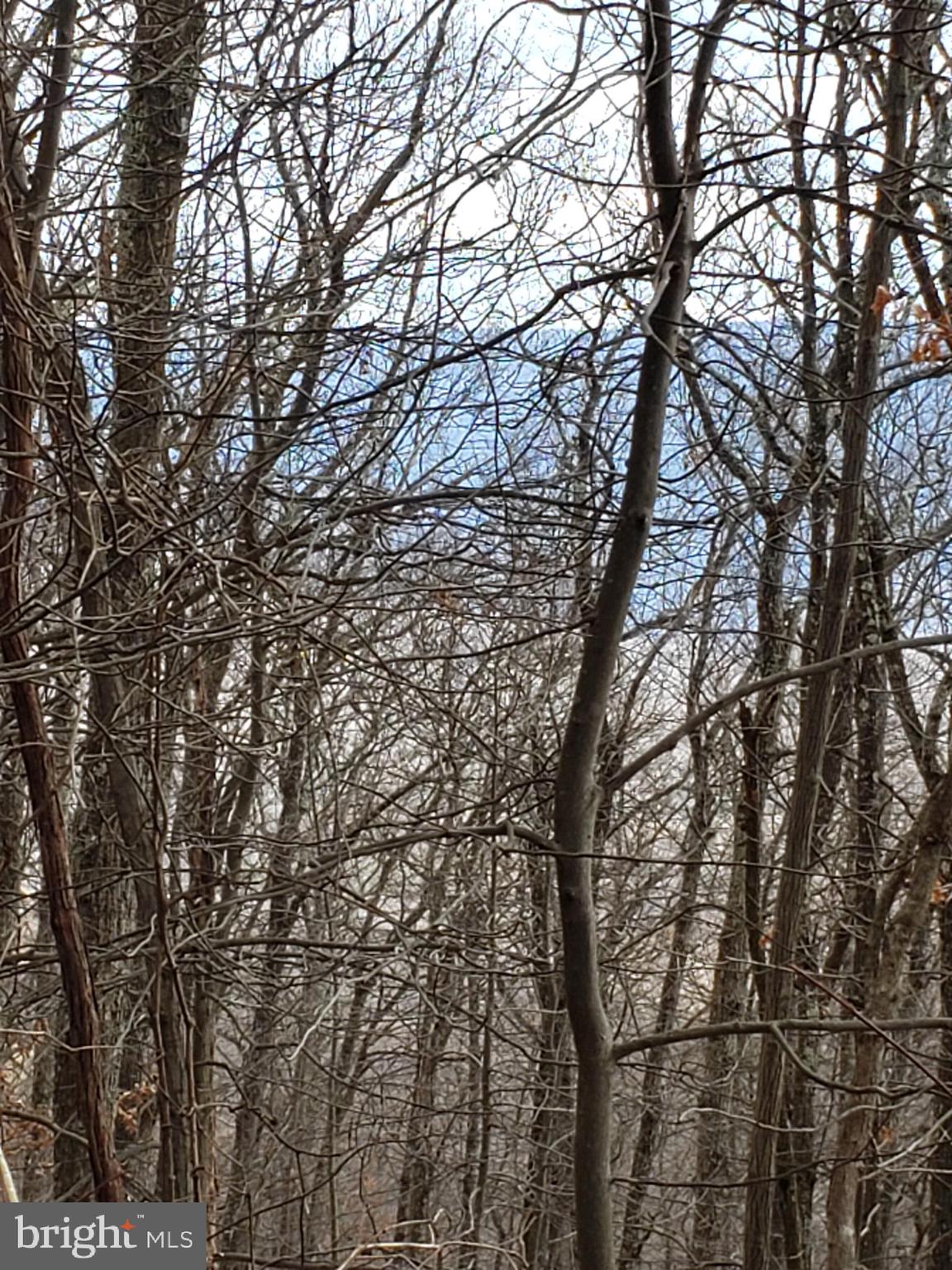 VALLEY HIGH TIMBER FARMS - Land