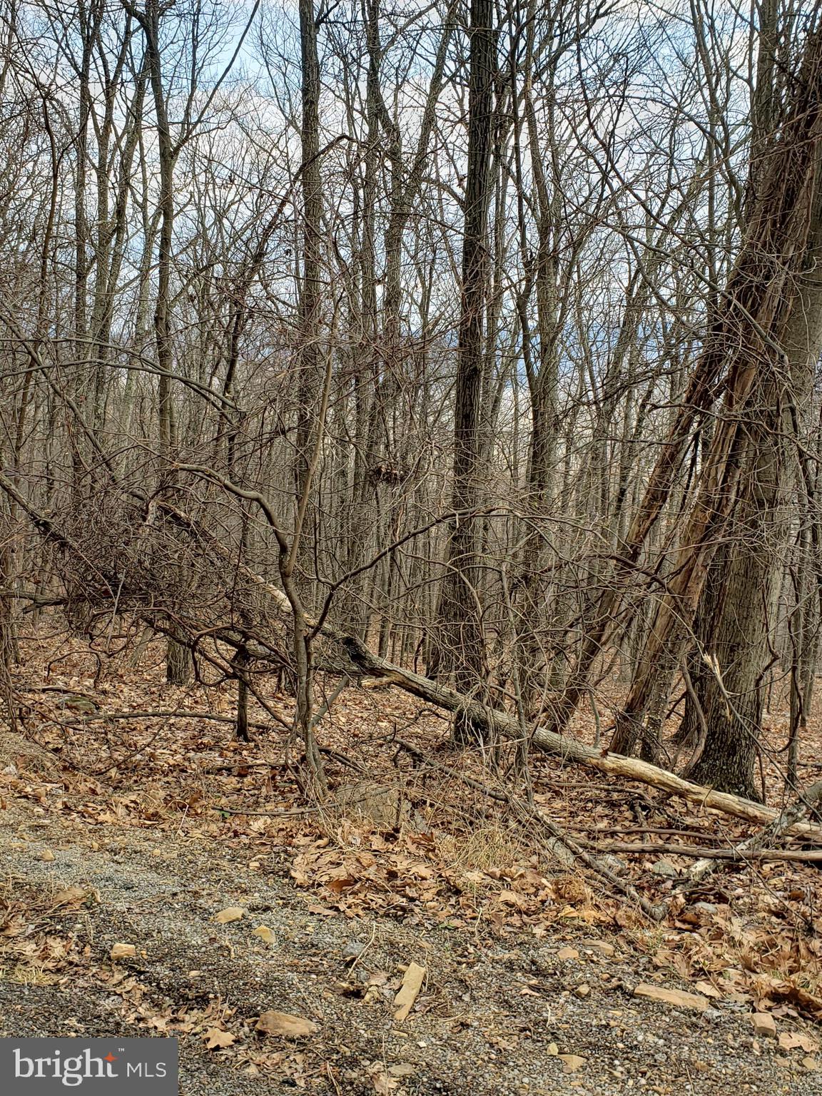 VALLEY HIGH TIMBER FARMS - Land