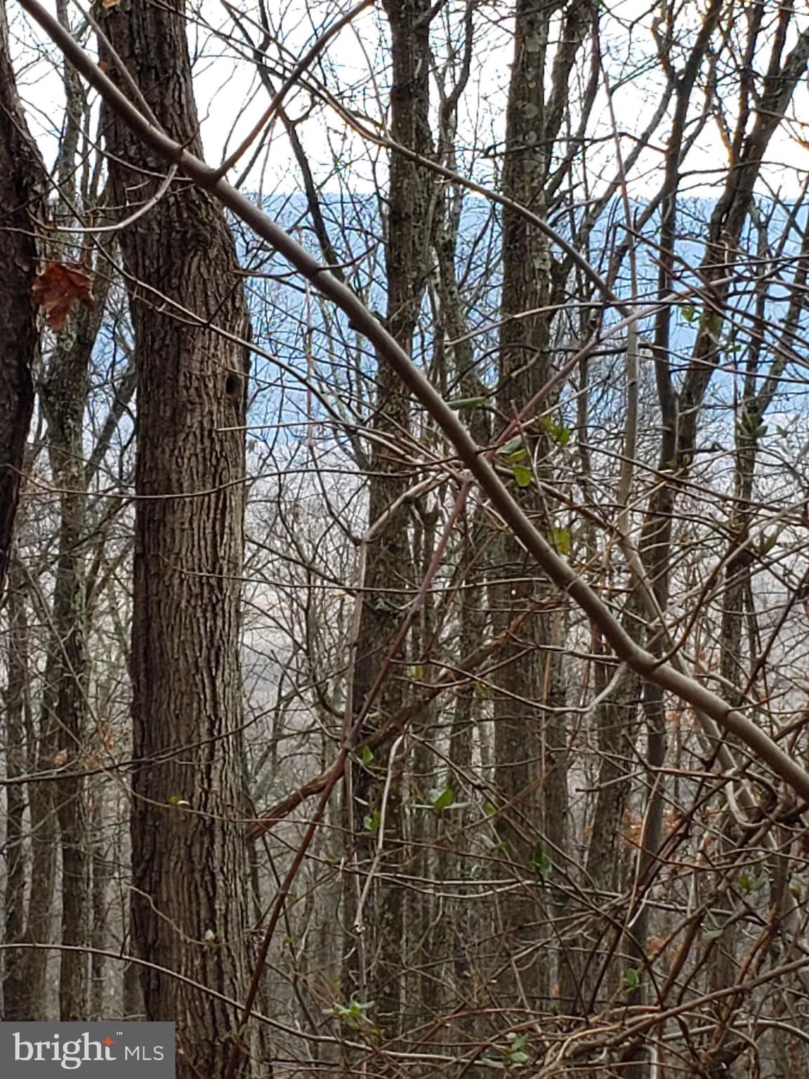 VALLEY HIGH TIMBER FARMS - Land