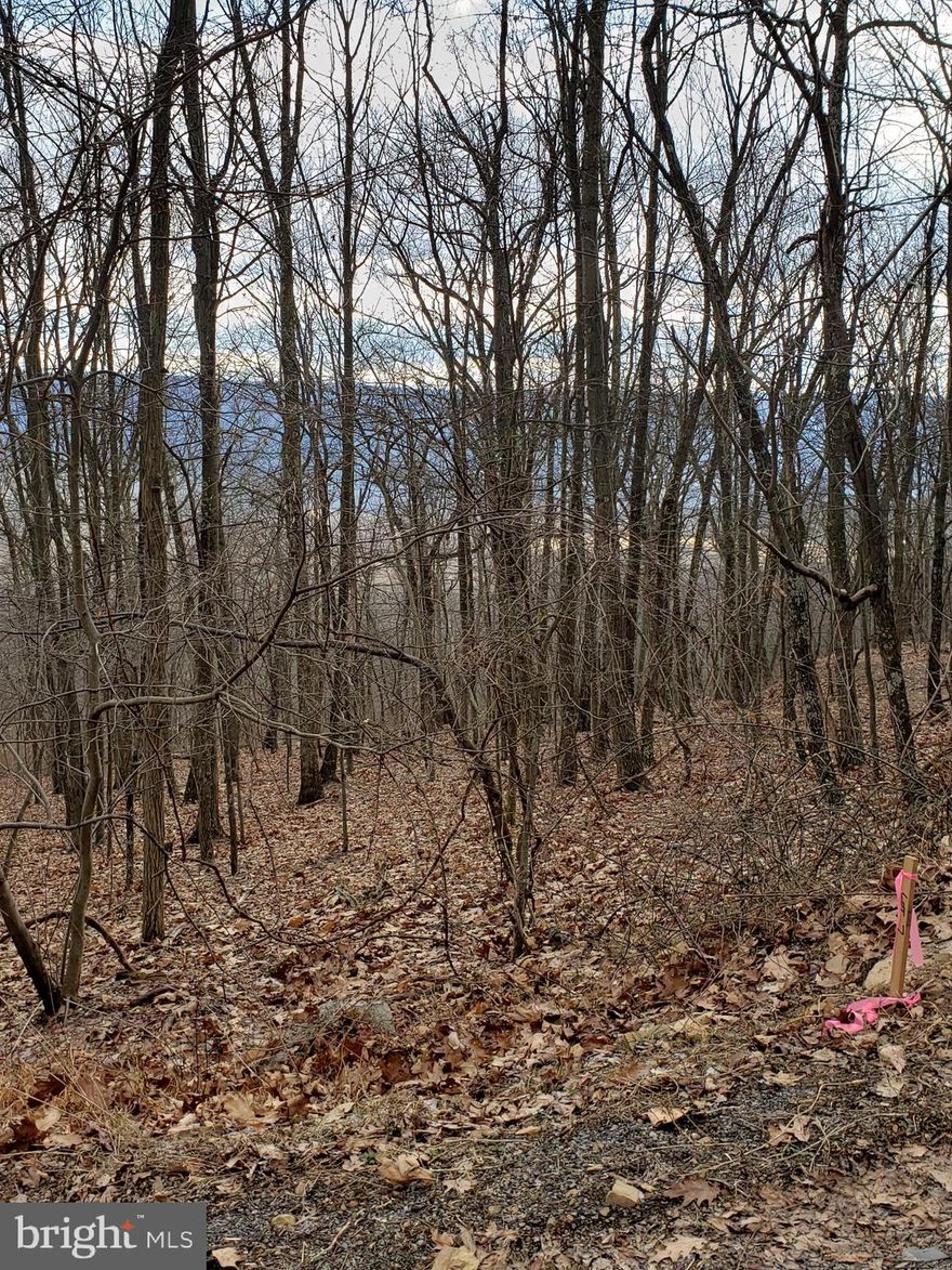 Great wooded lot with winter mountain views, located along a state maintained hard surface road.  Unrestricted, use for camping, hunting, or build to enjoy the lovely views.  Only about 12 miles west of downtown Historic Berkeley Springs.  Lot slopes downhill to a lower road.  Front corners along Detour Rd. recently surveyed and marked.