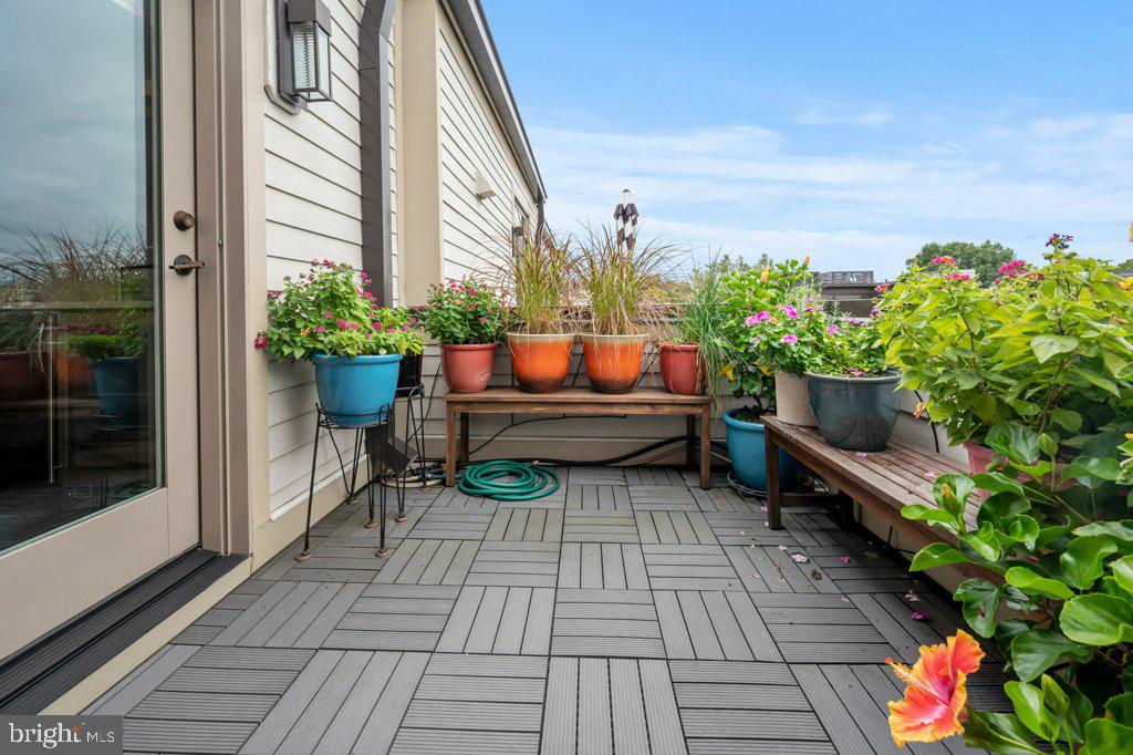 MAJESTY WEST - Residential