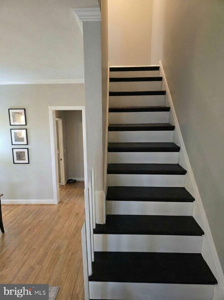 BELEVEDERE SQUARE - Residential