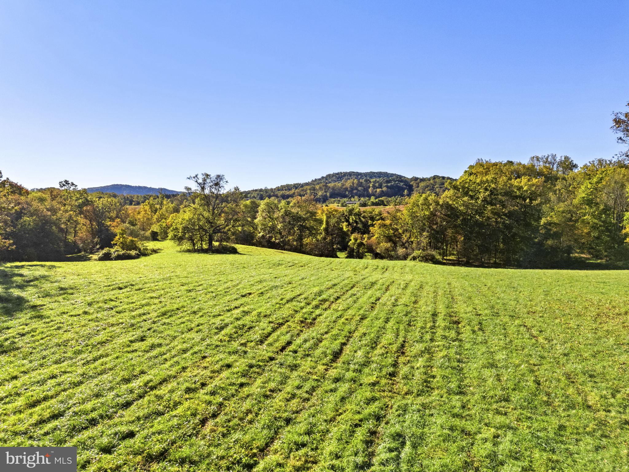 02 VINEYARD LANE