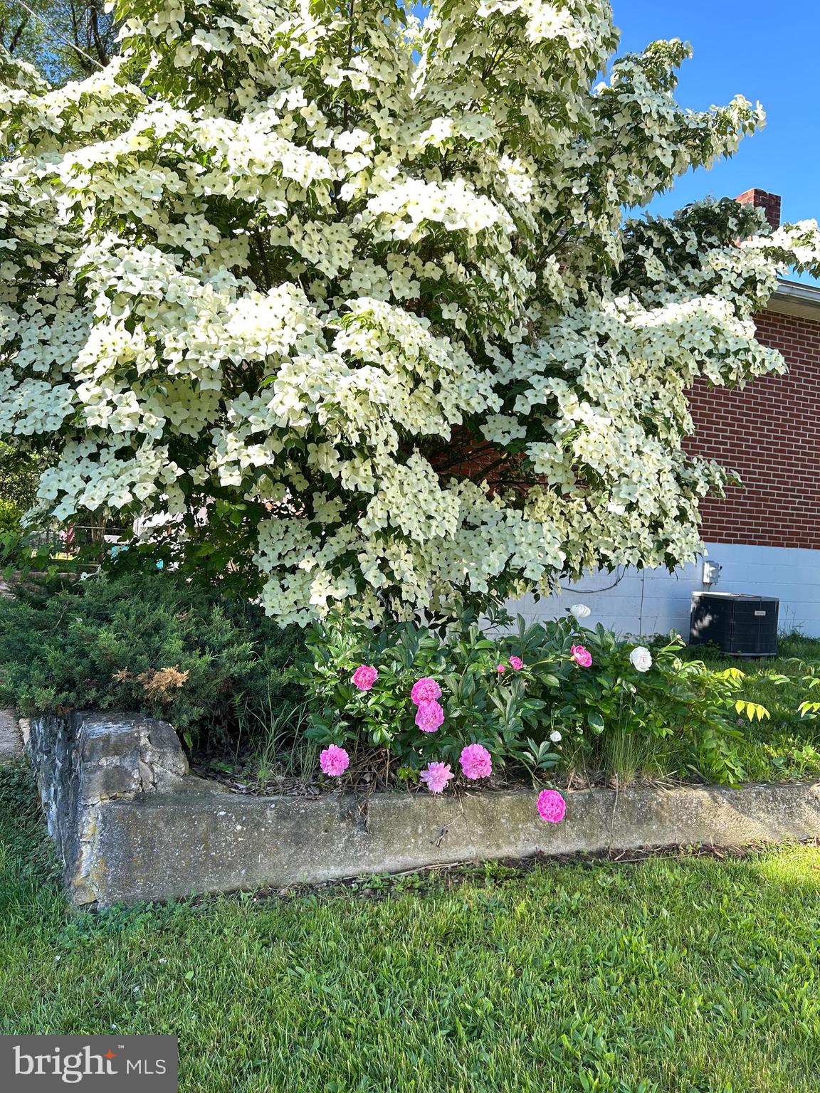 FUNKSTOWN - Residential