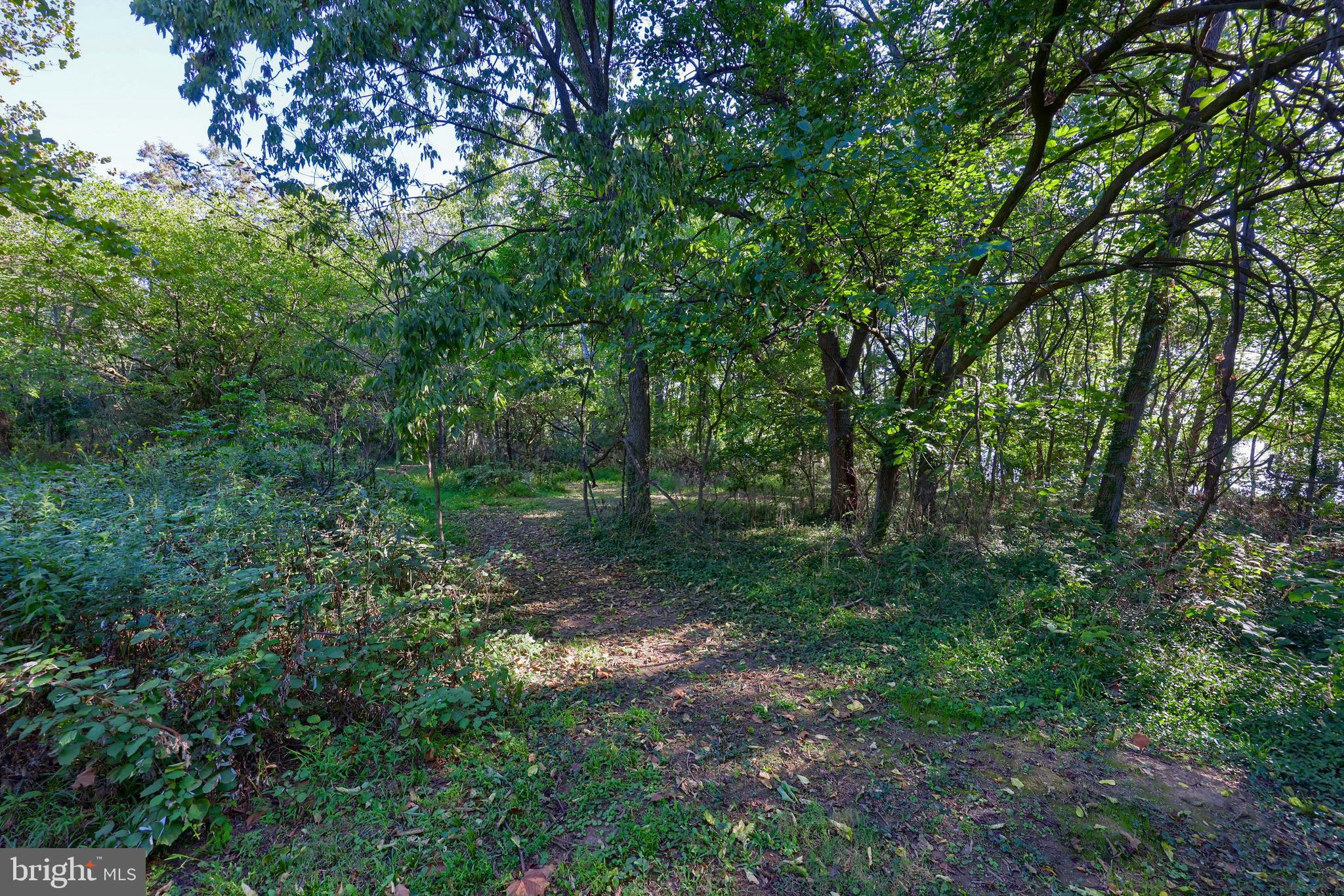 ACCOMAC SHORES - Residential