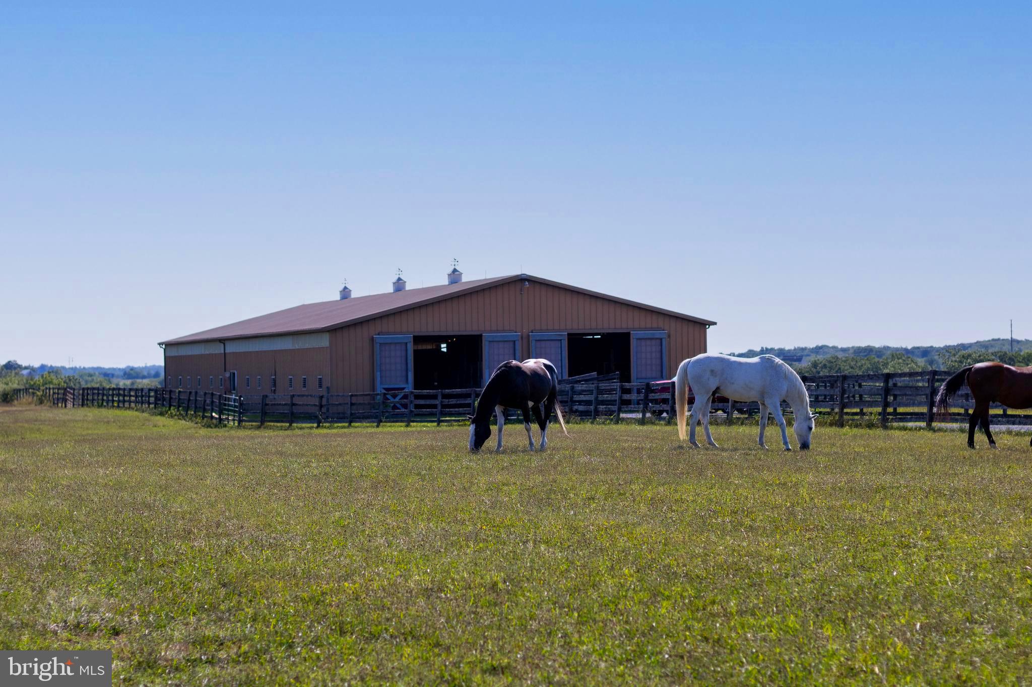Have you ever dreamed of owning a Horse Farm? This equestrian paradise with gorgeous mountainous views can be yours! Welcome to this extraordinary 34-acre horse facility strategically located in Central Pennsylvania and accessible from all major East Coast highways.
It’s currently operating as a boarding facility, but this property has many more income producing possibilities. It could be used for layover stabling, lessons, and recreational riding. It’s also Pennsylvania Breeders Fund eligible for breeding and racing PA thoroughbreds.
Included are two Morton Buildings. Building one is 60' x 156' and has twenty stalls, automatic watering, a tack room, and ample space for more. Building two is 54' x 126' and has an indoor arena and a livable groom's lounge. You’ll also find an outdoor corral and various paddocks divided within miles of quality fencing. With its prime location, amenities, and magnificent mountain views. Included in the sale price is Tax ID# 21-13-0966-013. 140 Wagner Dr. Carlisle, PA. 17013. The possibilities are endless. It's a must see.