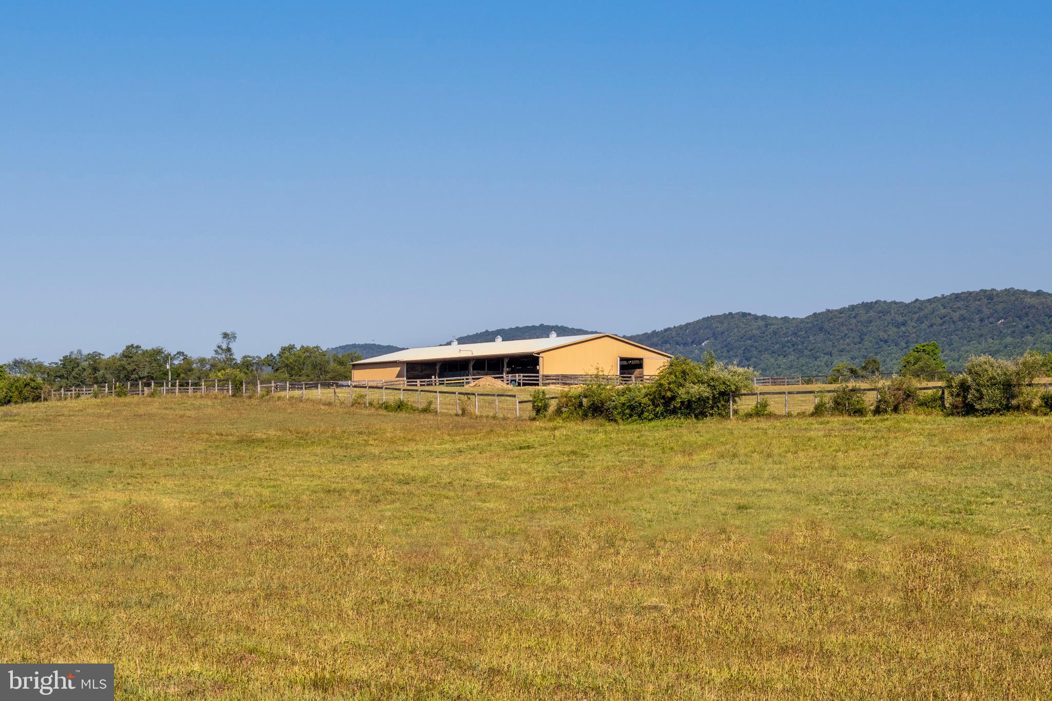 NONE AVAILABLE - Farm