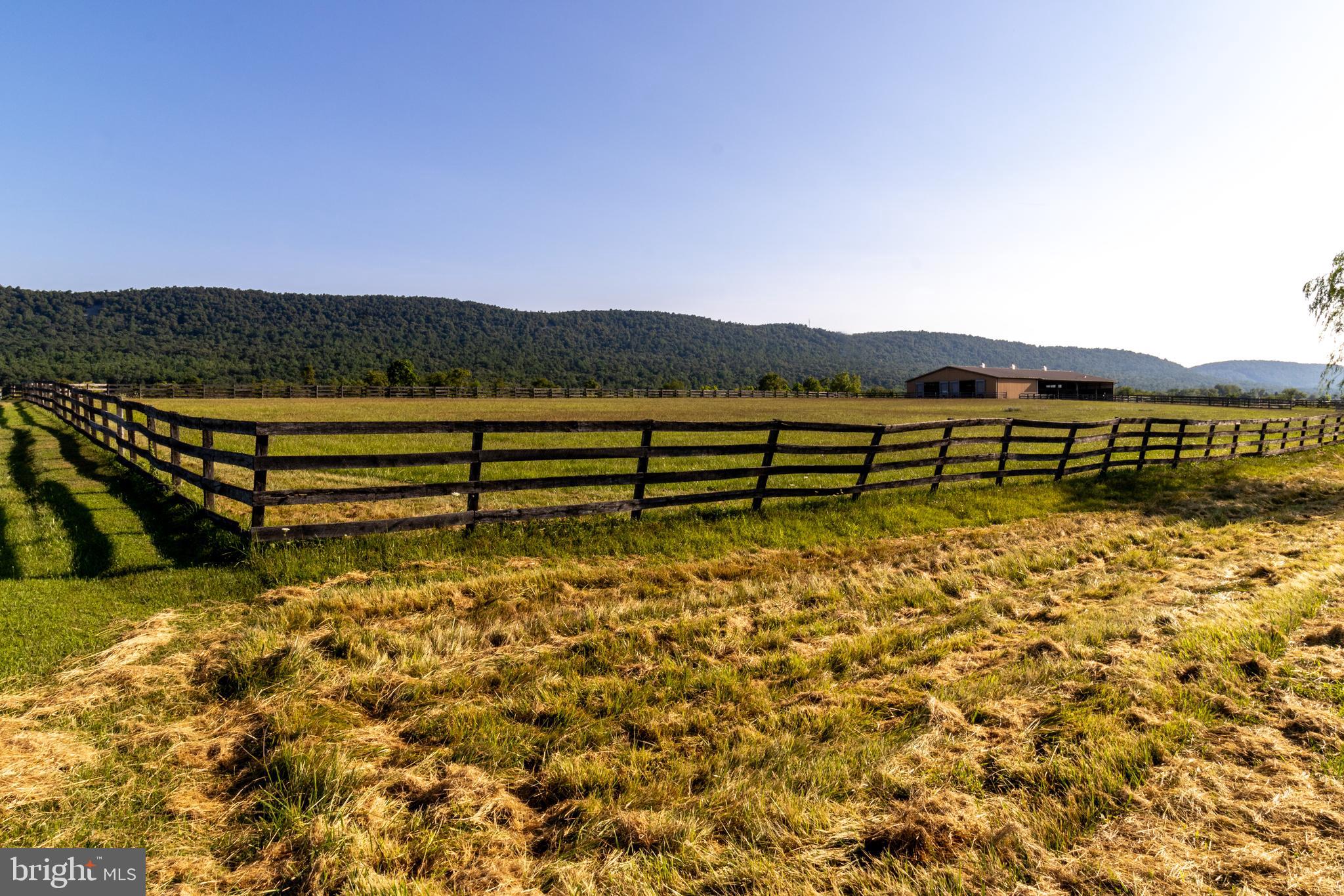 NONE AVAILABLE - Farm