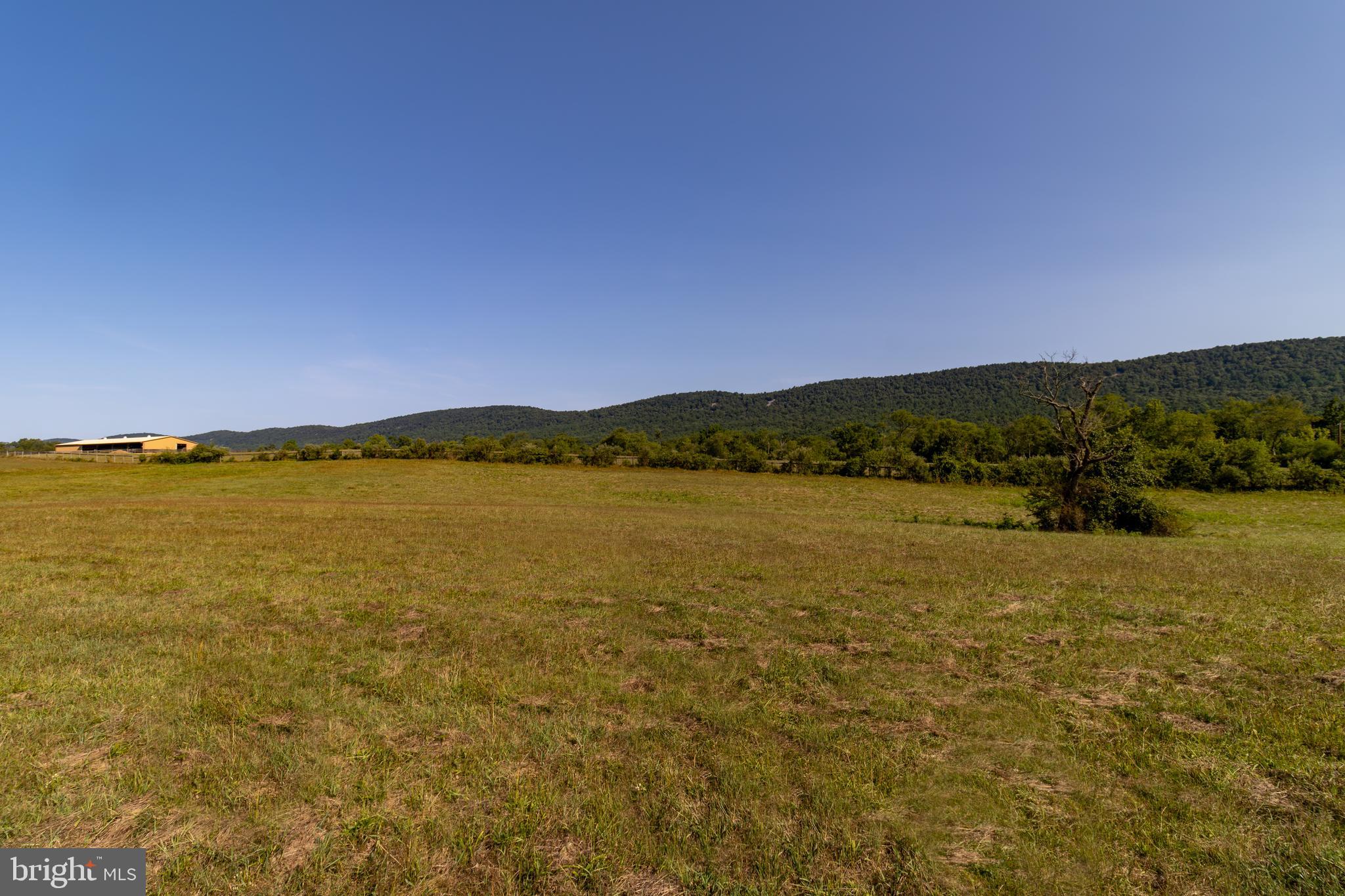 NONE AVAILABLE - Farm