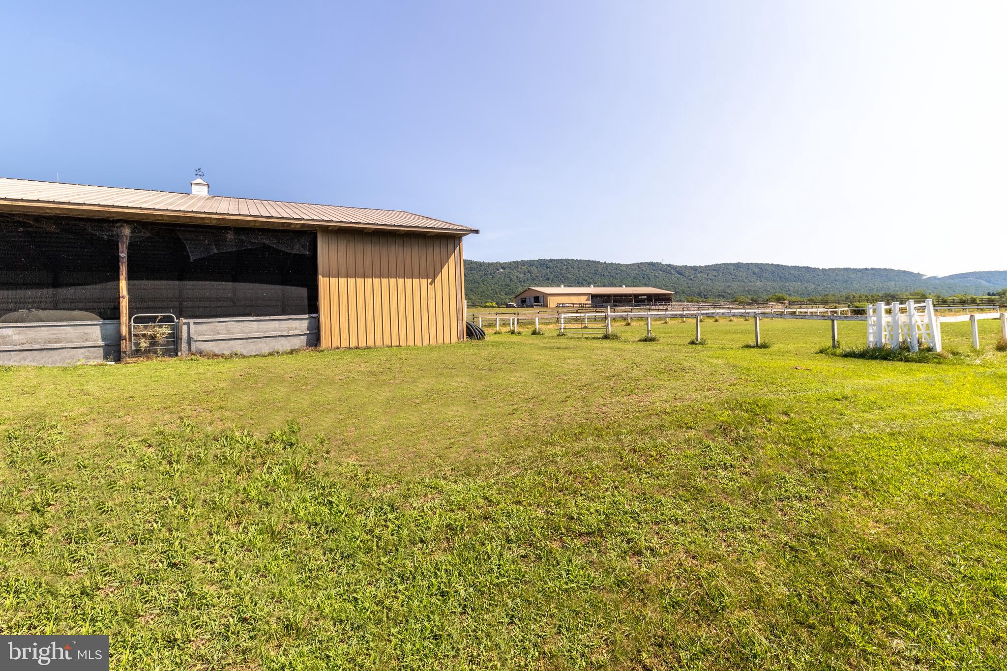 NONE AVAILABLE - Farm