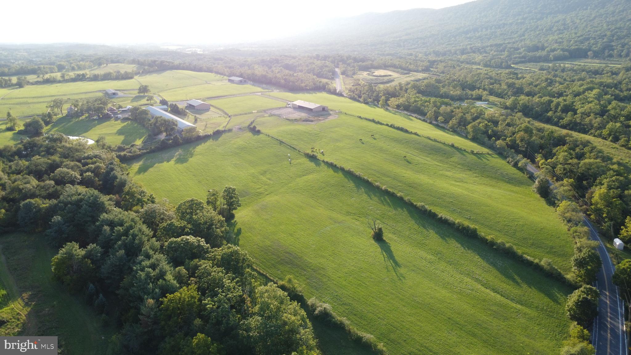 NONE AVAILABLE - Farm