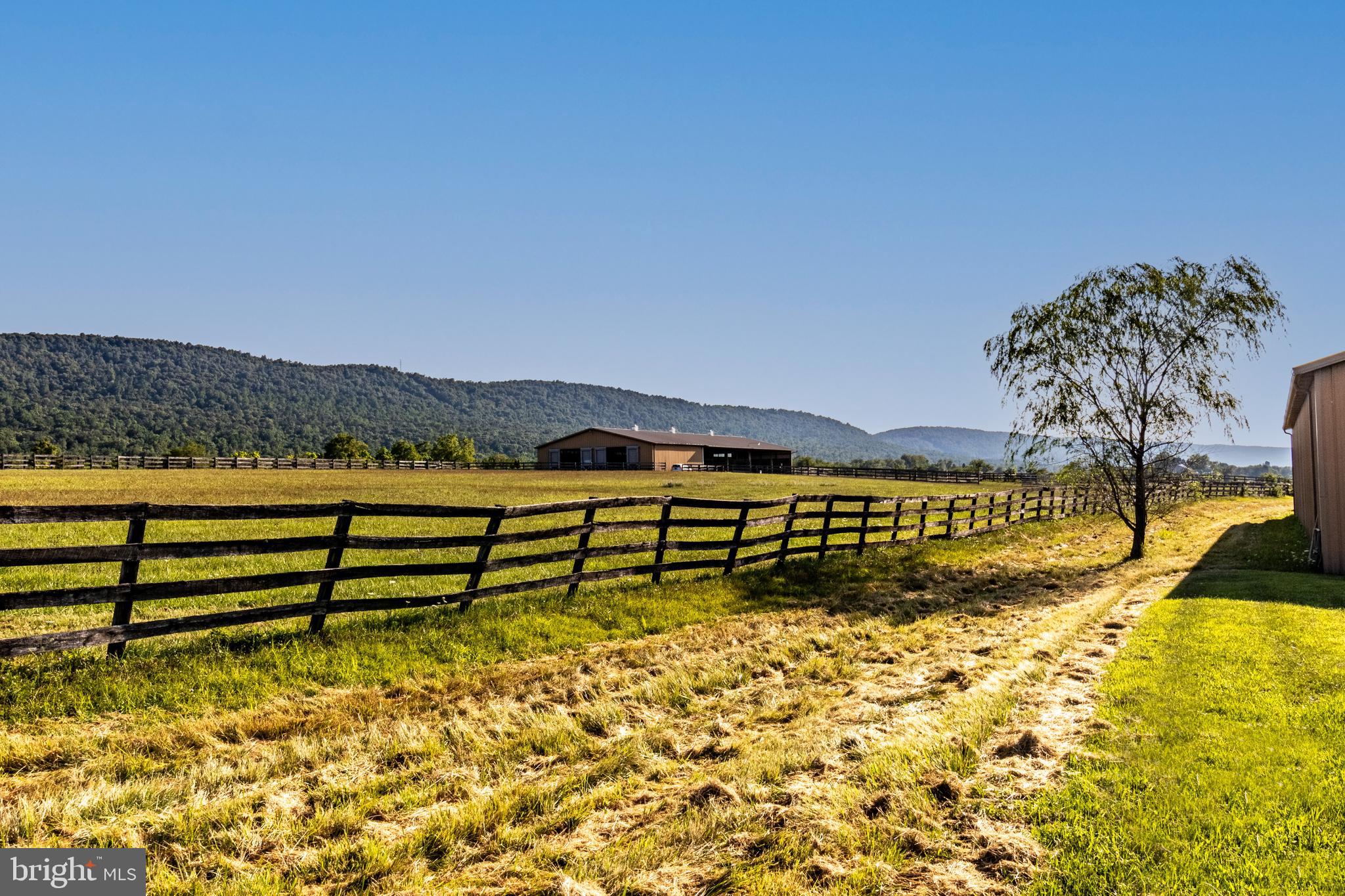 NONE AVAILABLE - Farm