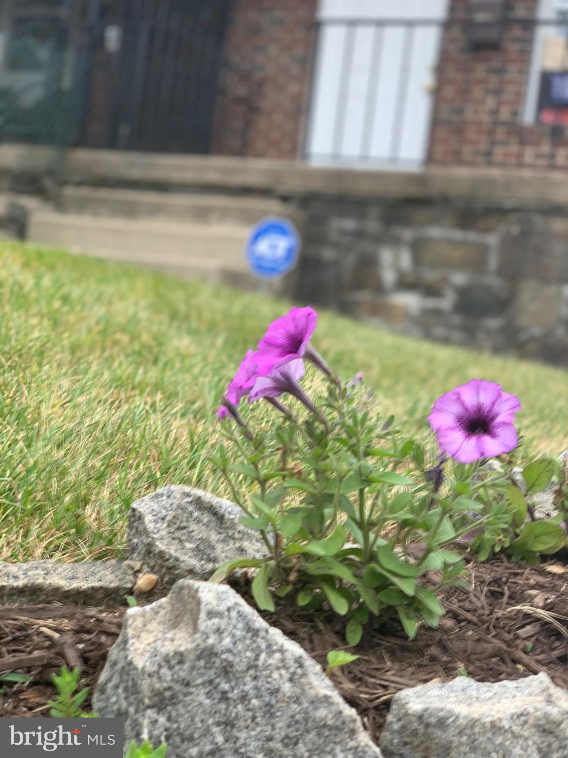 SAINT JOSEPHS - Residential Lease