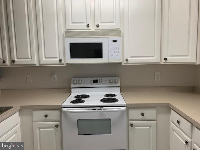 36519 PALM DRIVE 4202