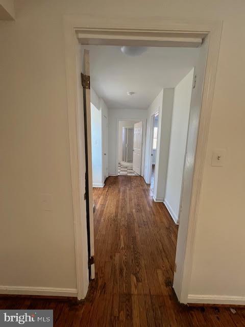 FLORIS DOWNS - Residential Lease