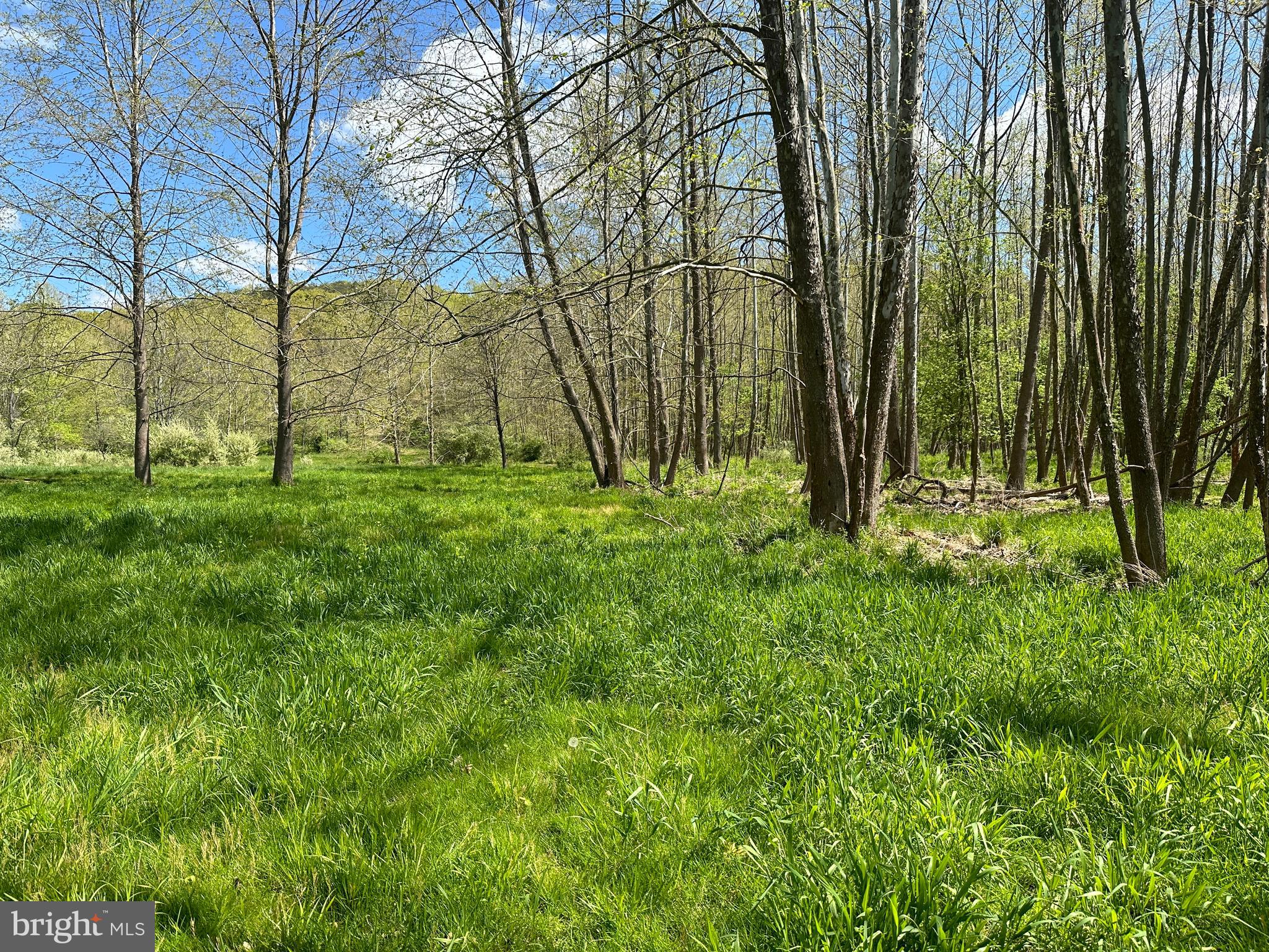 POTOMAC LANDING - Residential