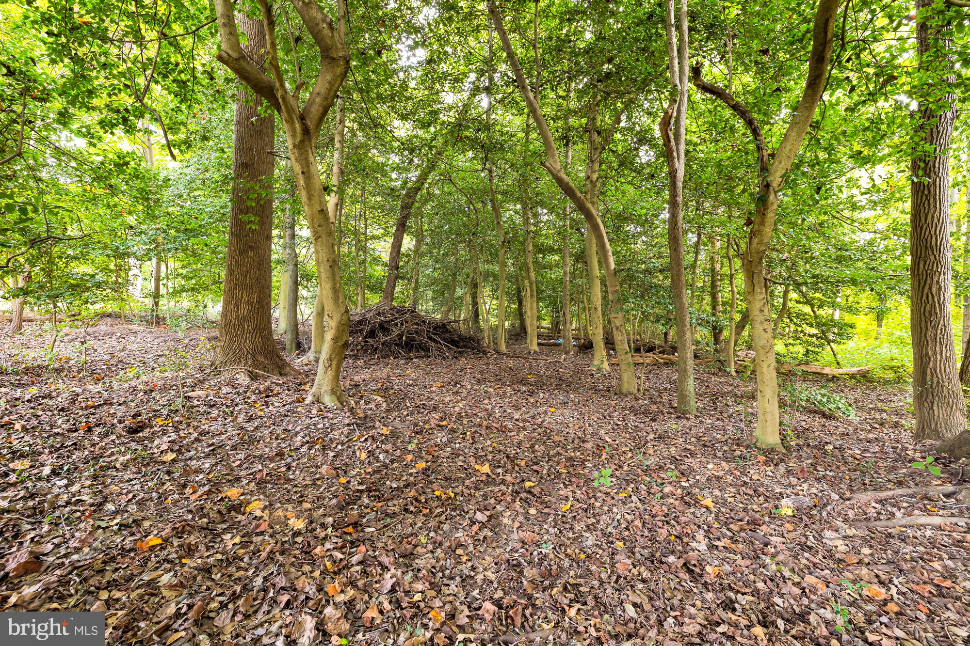 LANHAM - Residential