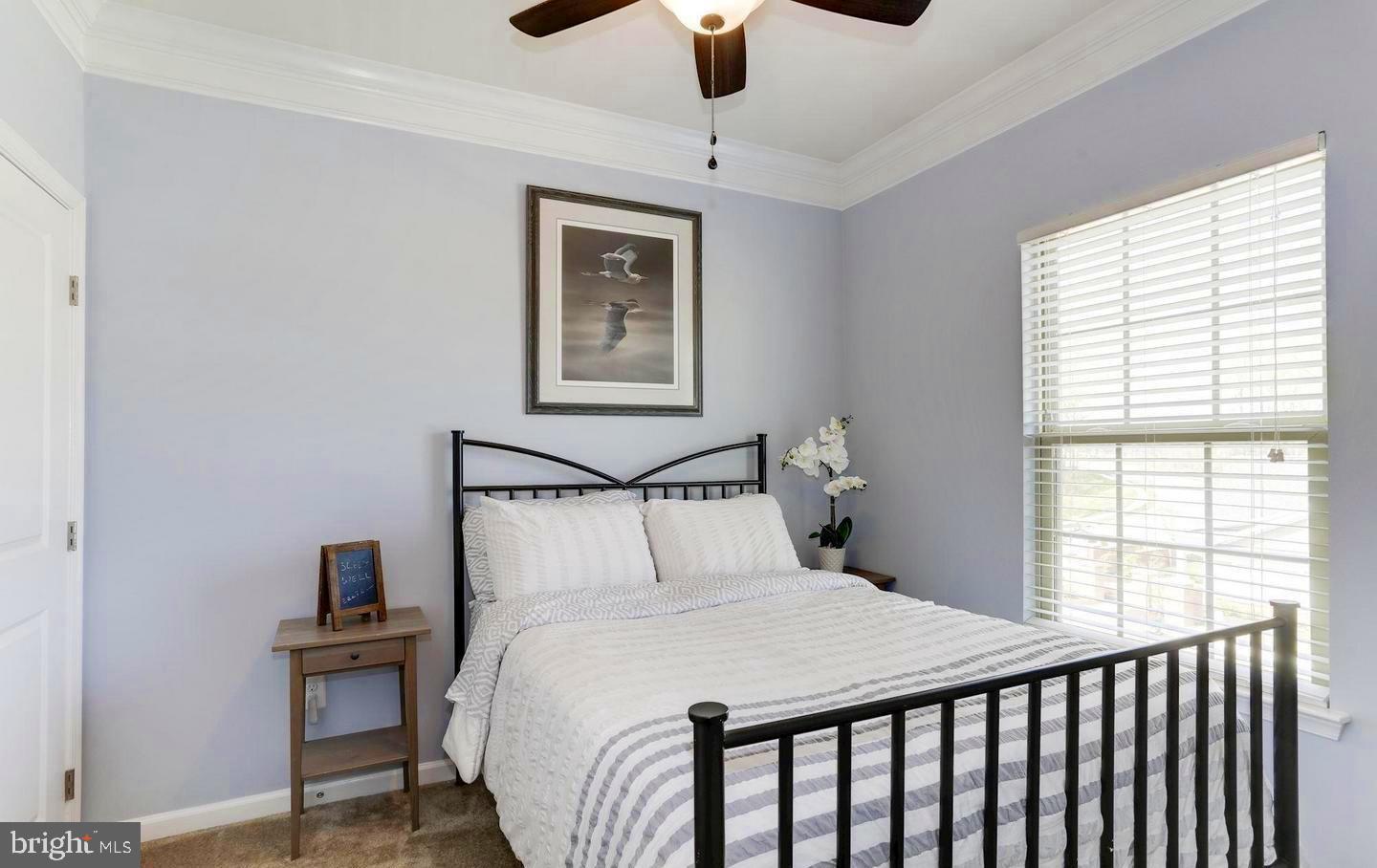 PRESERVE AT WINDLASS RUN - Residential