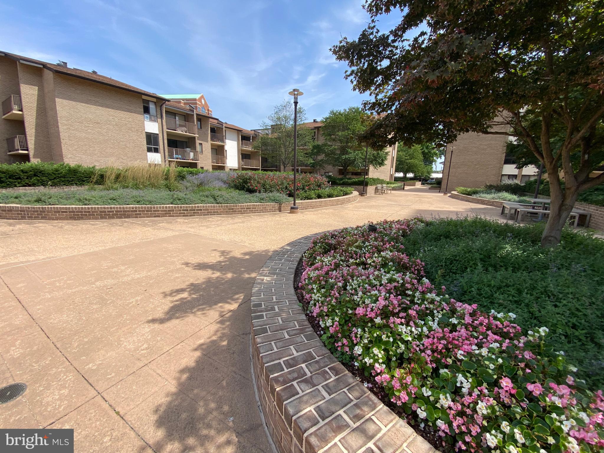 AMERICANA CENTRE - Residential