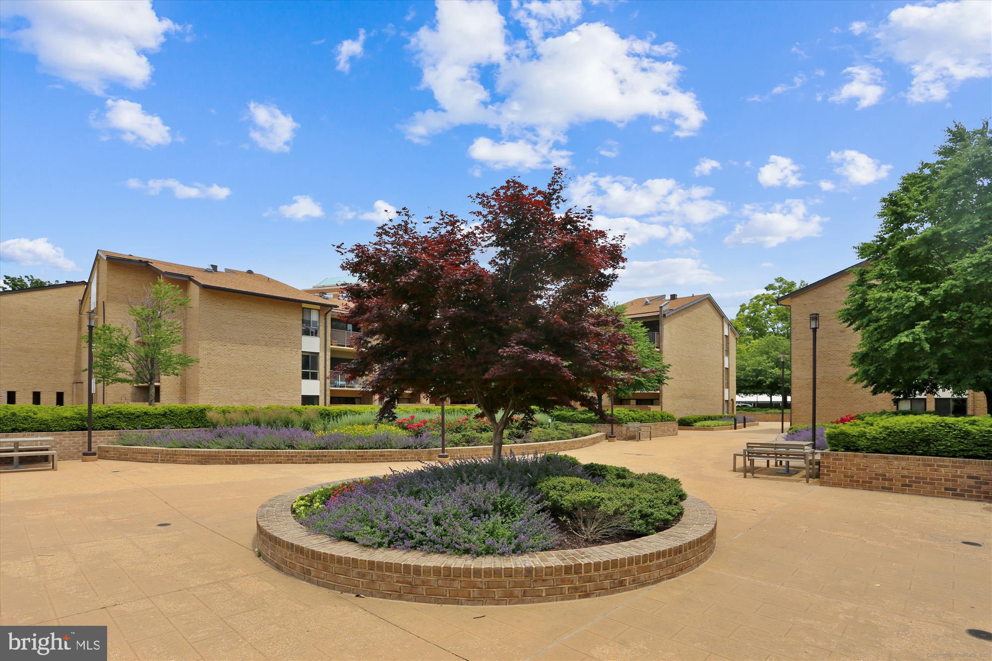 AMERICANA CENTRE - Residential