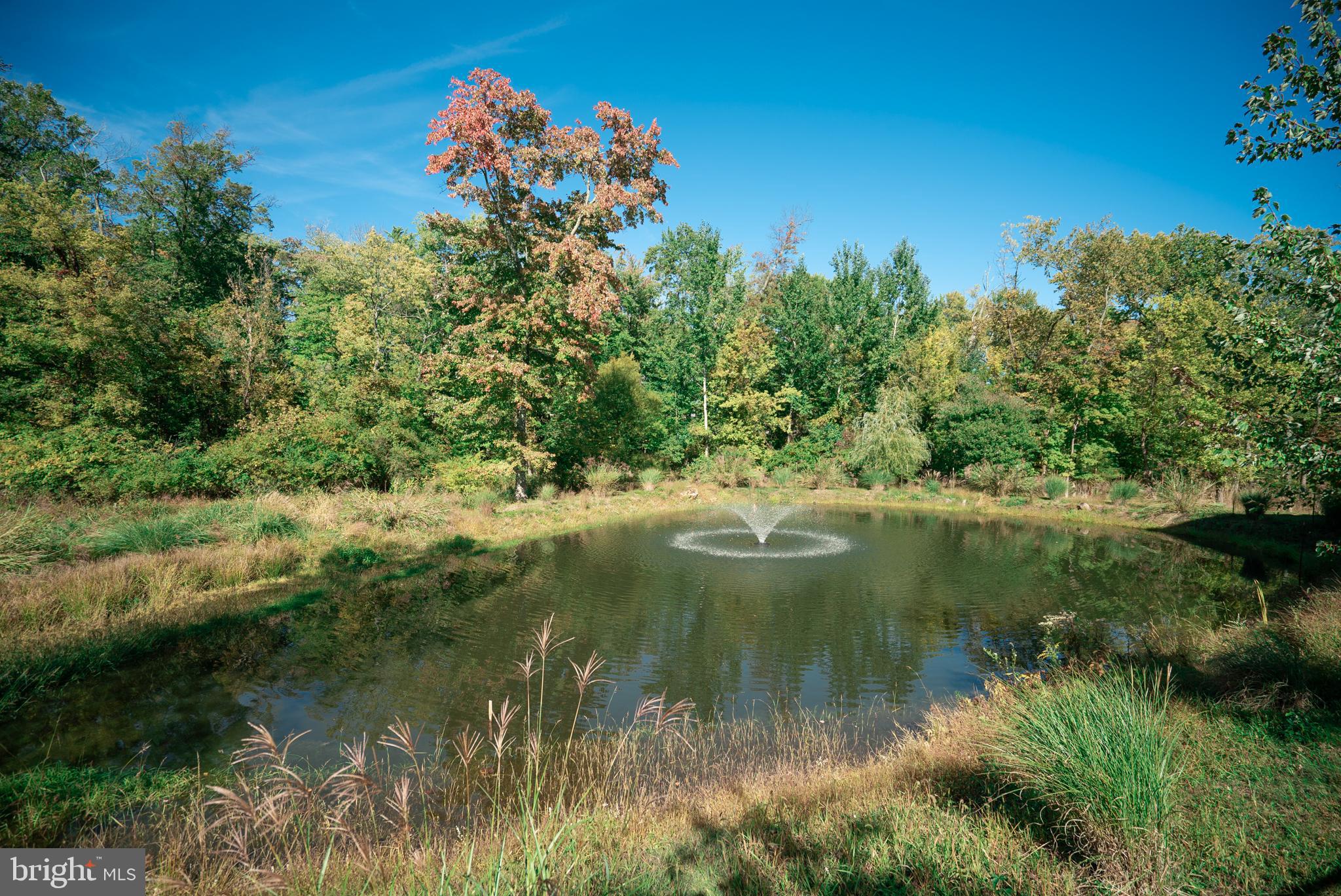 DELANCEY COURT - Residential