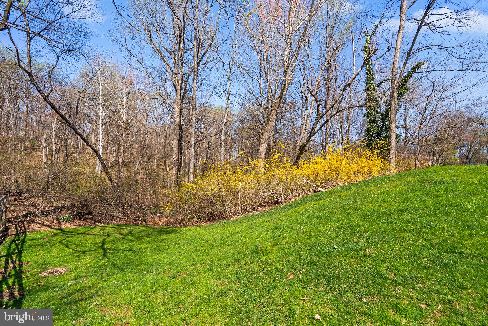 BROOKEVILLE KNOLLS - Residential