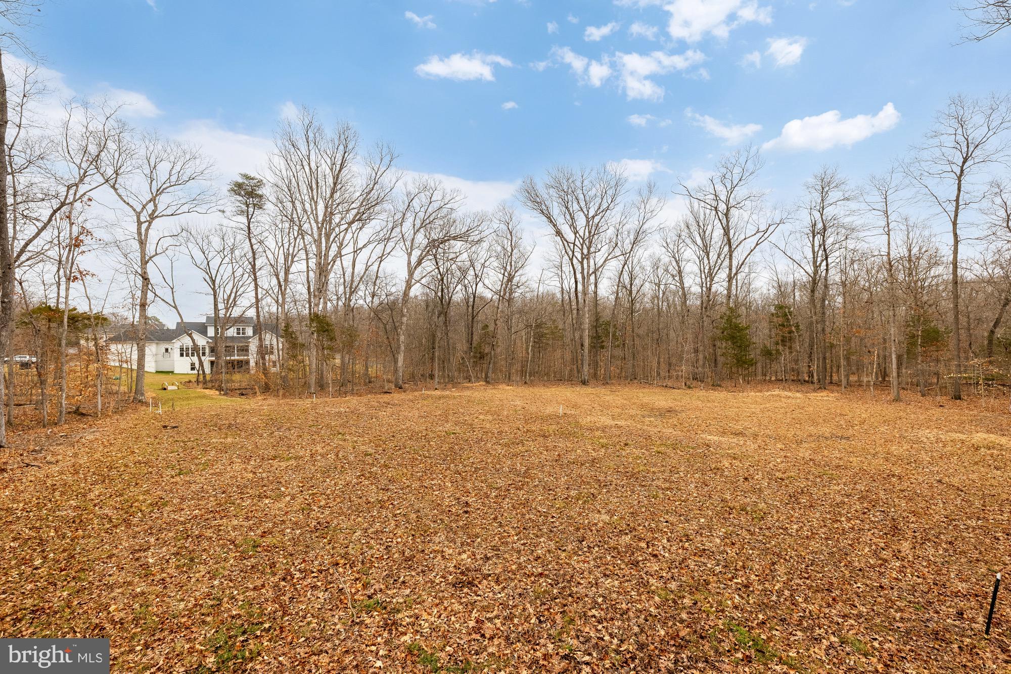 BRADDOCK WOODS - Residential