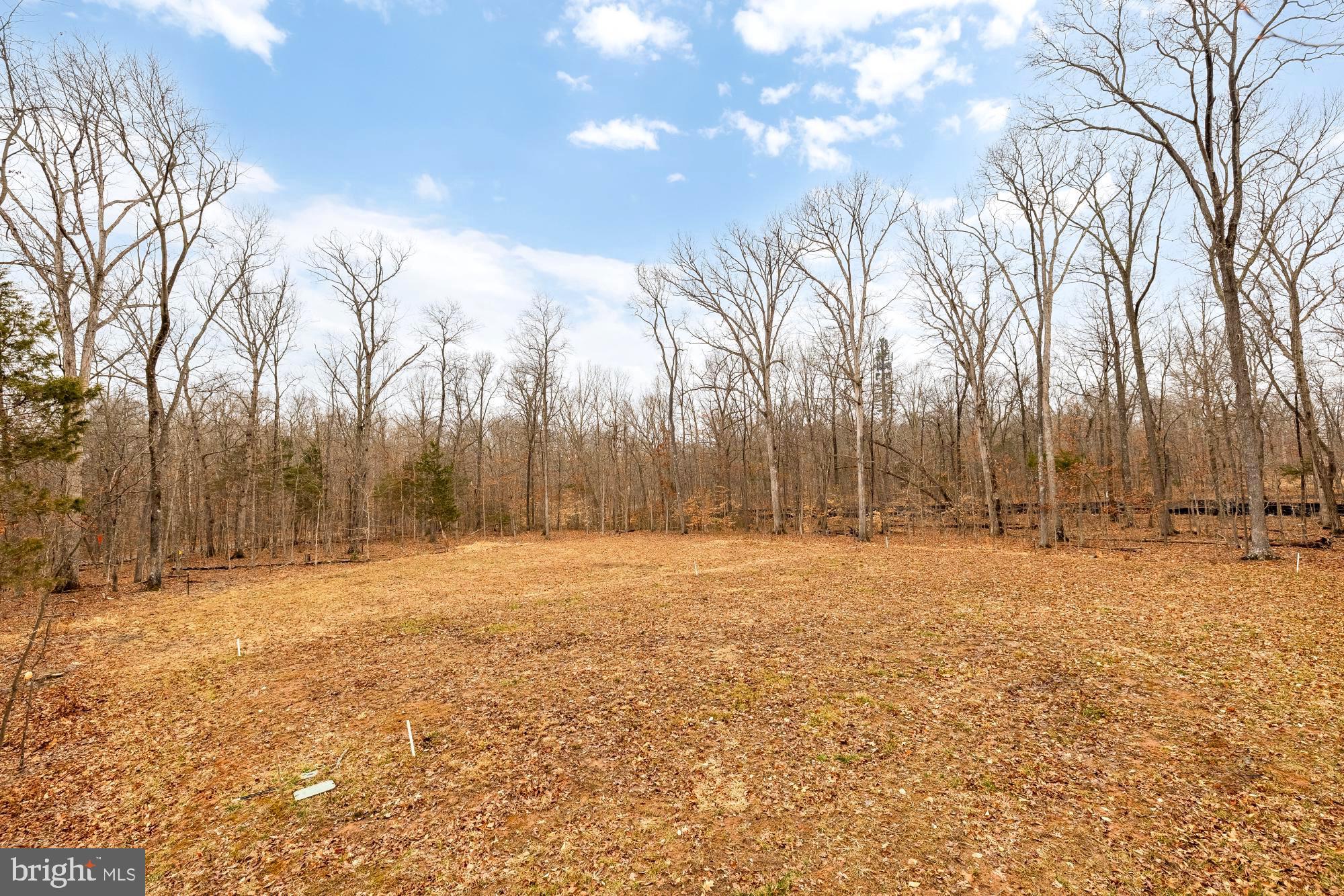 BRADDOCK WOODS - Residential