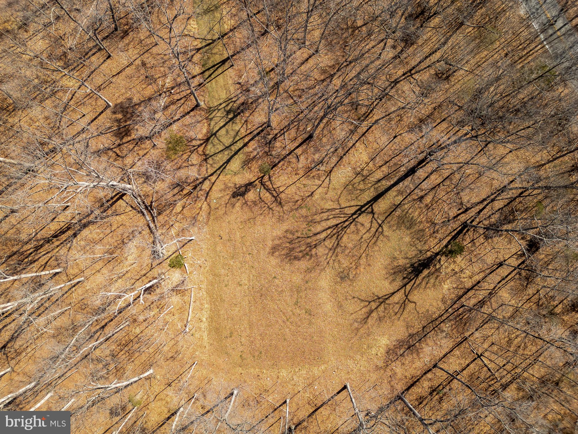 BRADDOCK WOODS - Residential