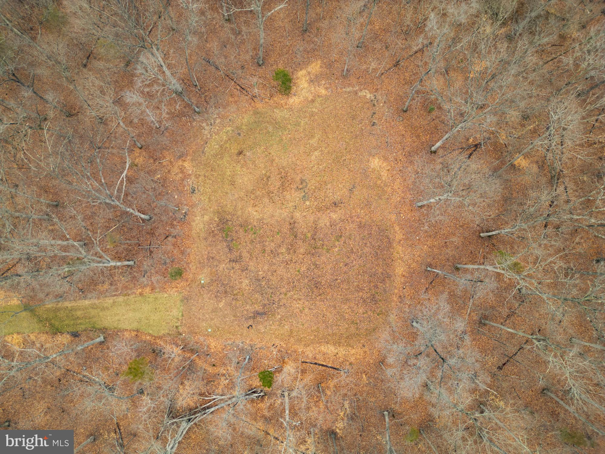 BRADDOCK WOODS - Residential