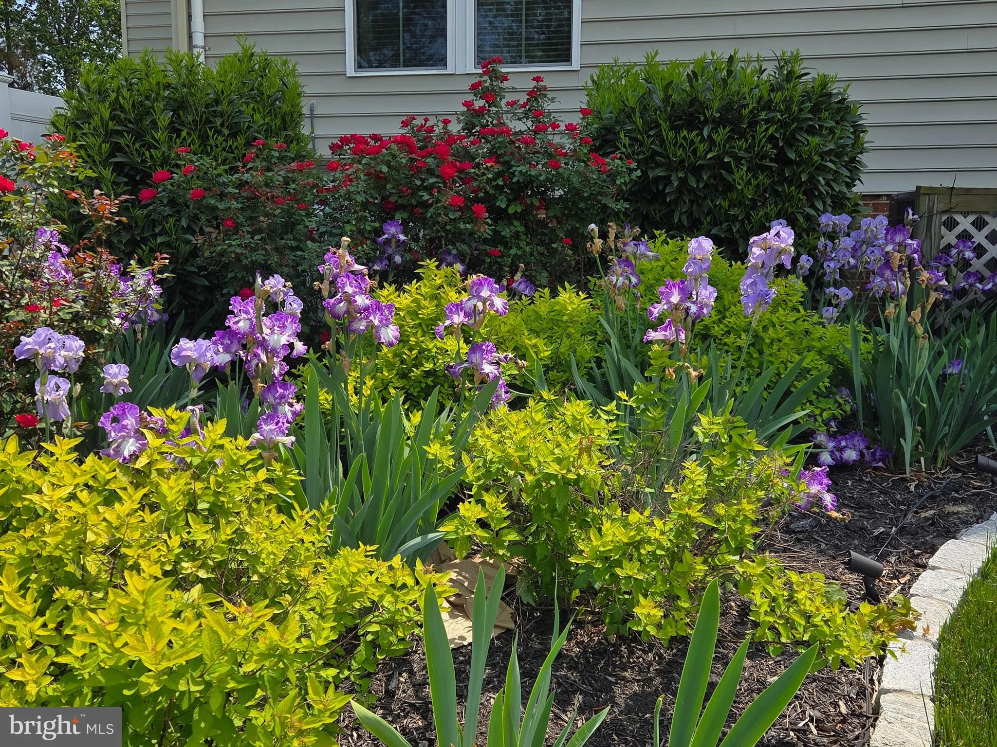 Moseley, Virginia 23120, United States, 5 Bedrooms Bedrooms, ,5 BathroomsBathrooms,Residential,Coming Soon,228975