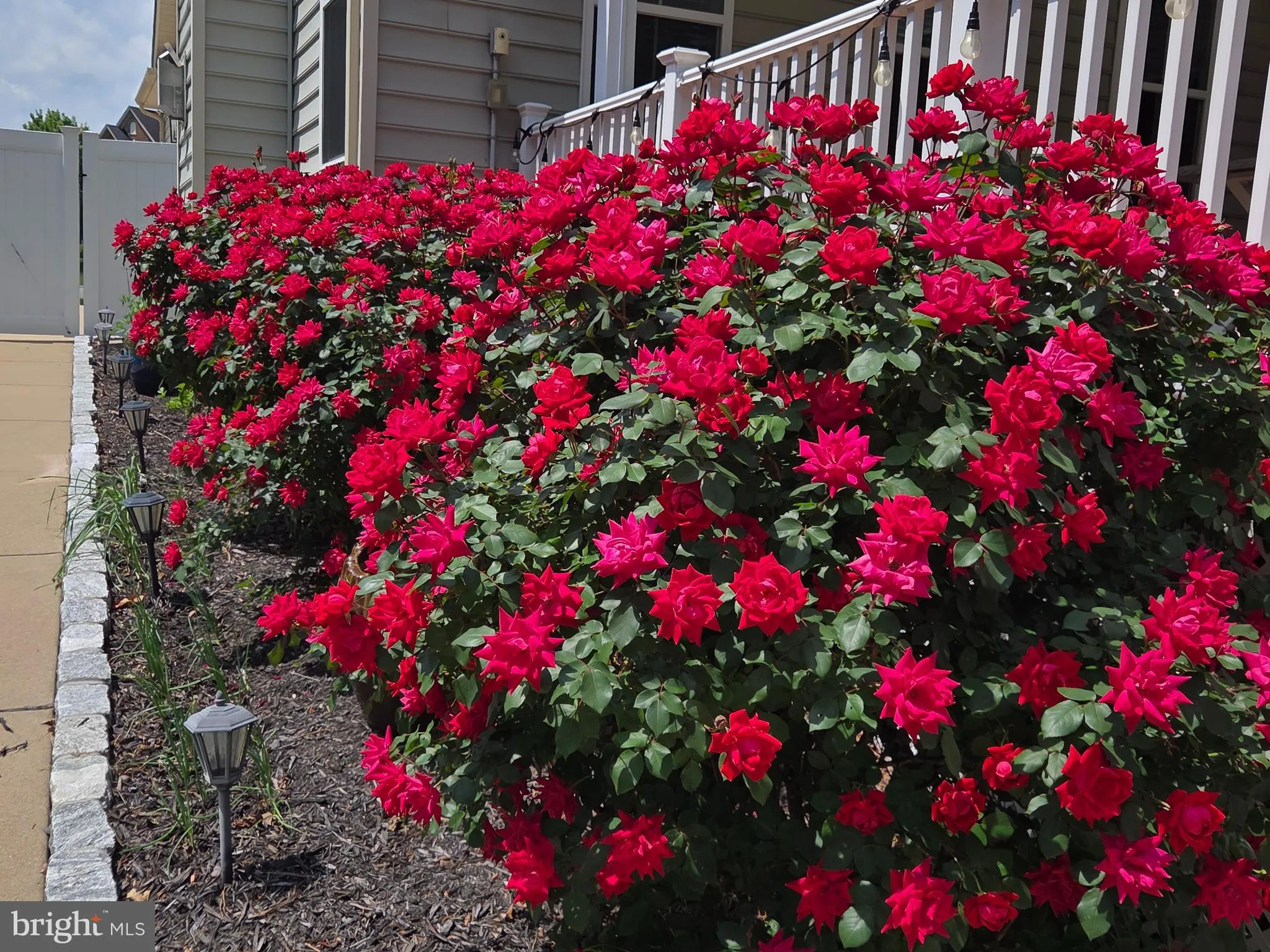 Moseley, Virginia 23120, United States, 5 Bedrooms Bedrooms, ,5 BathroomsBathrooms,Residential,Coming Soon,228975