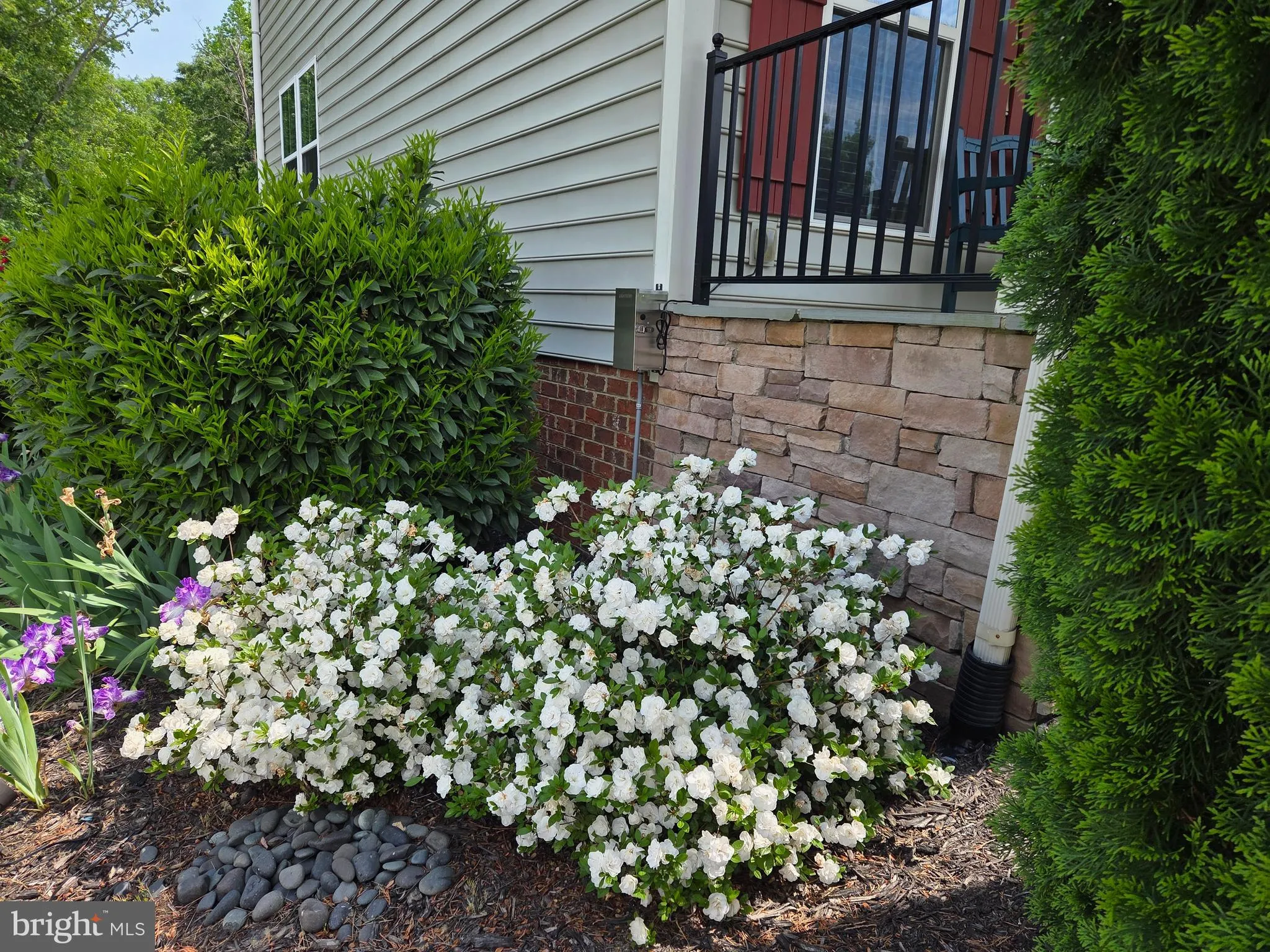 Moseley, Virginia 23120, United States, 5 Bedrooms Bedrooms, ,5 BathroomsBathrooms,Residential,Coming Soon,228975