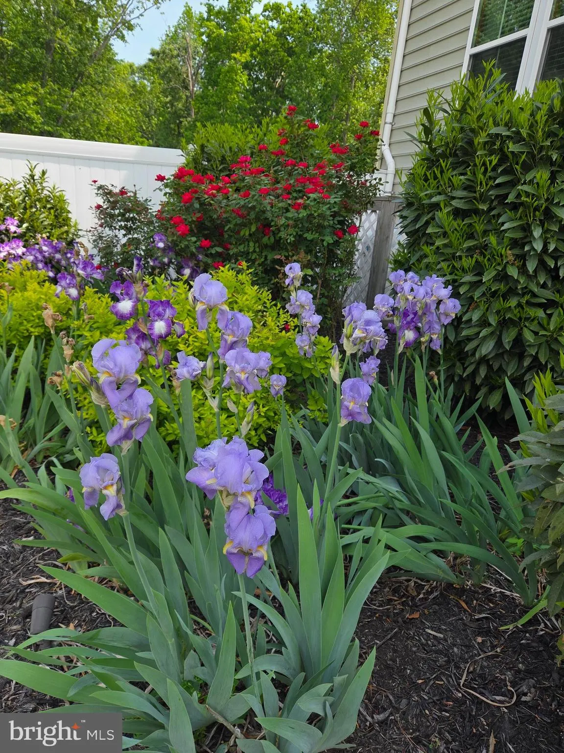 Moseley, Virginia 23120, United States, 5 Bedrooms Bedrooms, ,5 BathroomsBathrooms,Residential,Coming Soon,228975