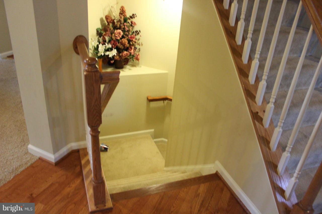 KIMMITT PROPERTY - Residential Lease