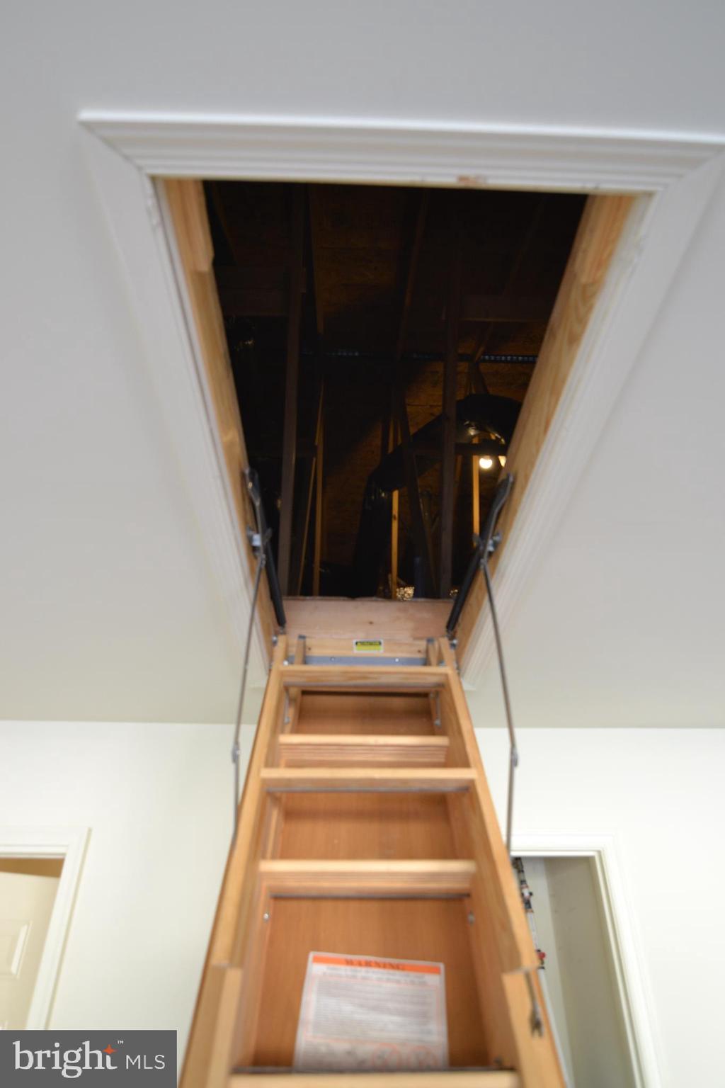 THE PADDOCK - Residential